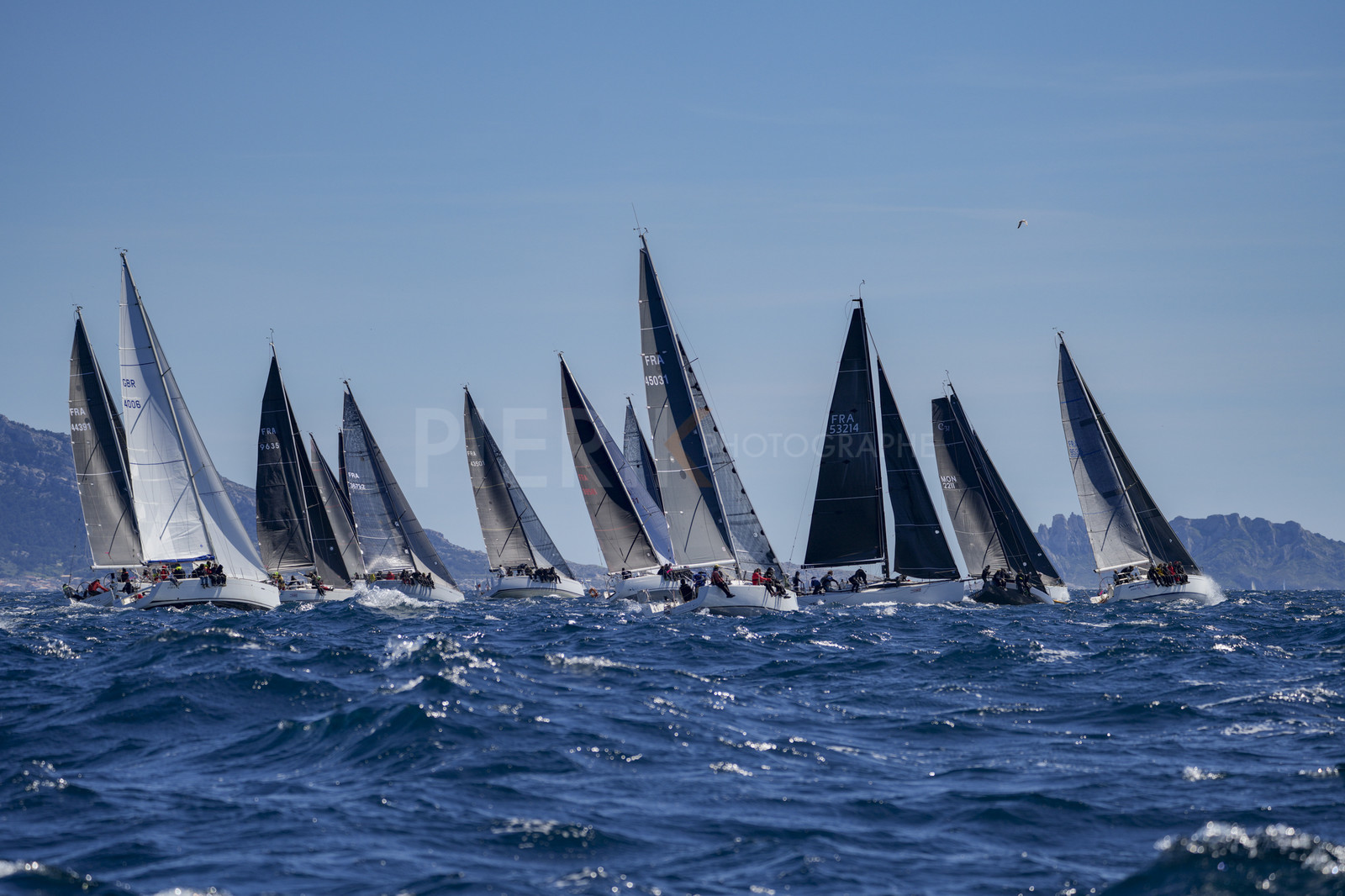 _DSC3394.jpg
