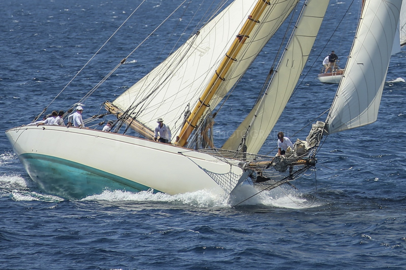 A29X1451.jpg