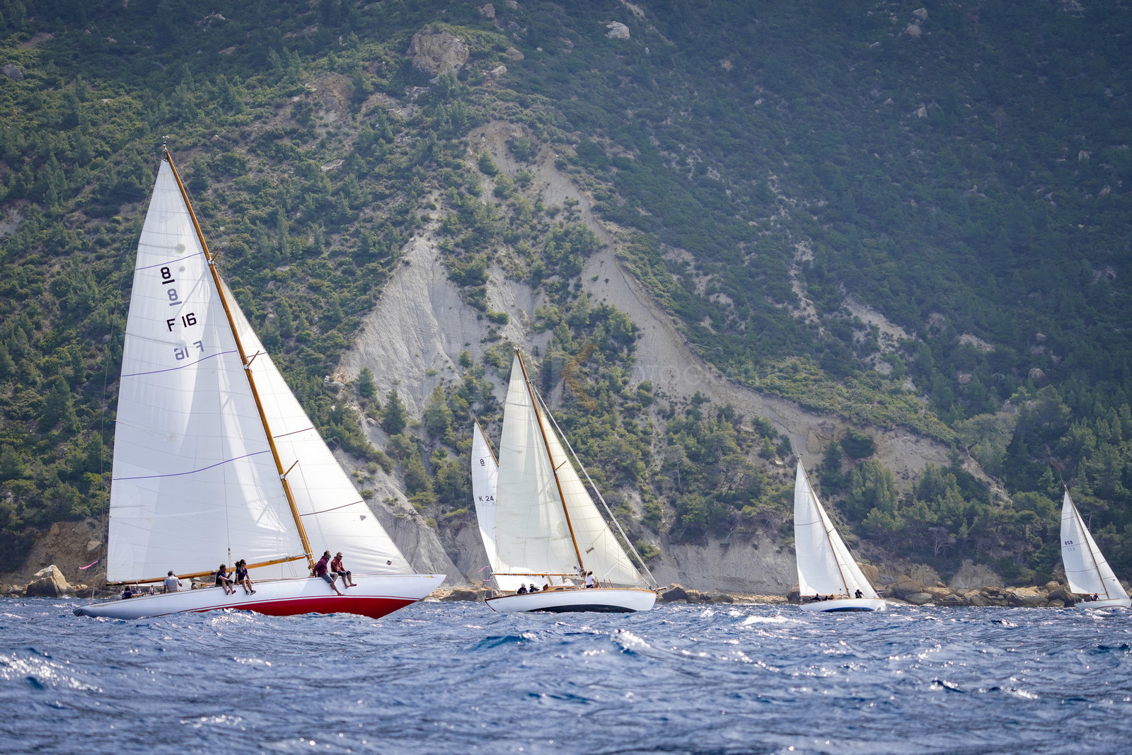 _DSC7048.jpg