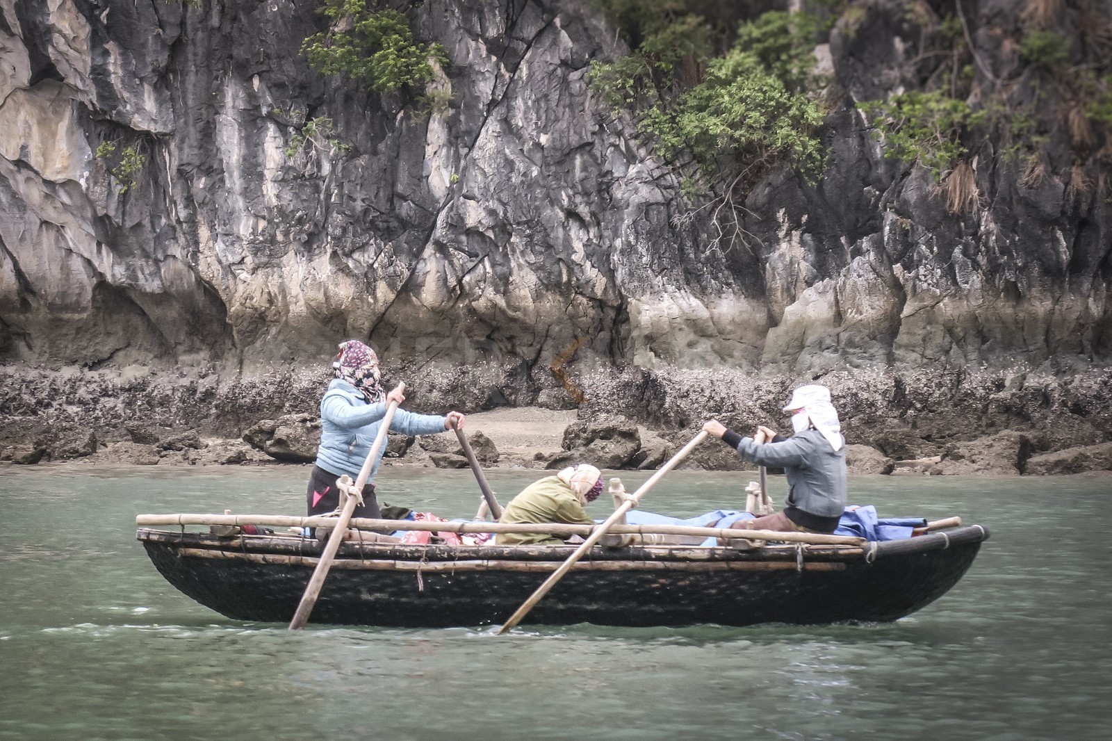 Halong bay-12.jpg