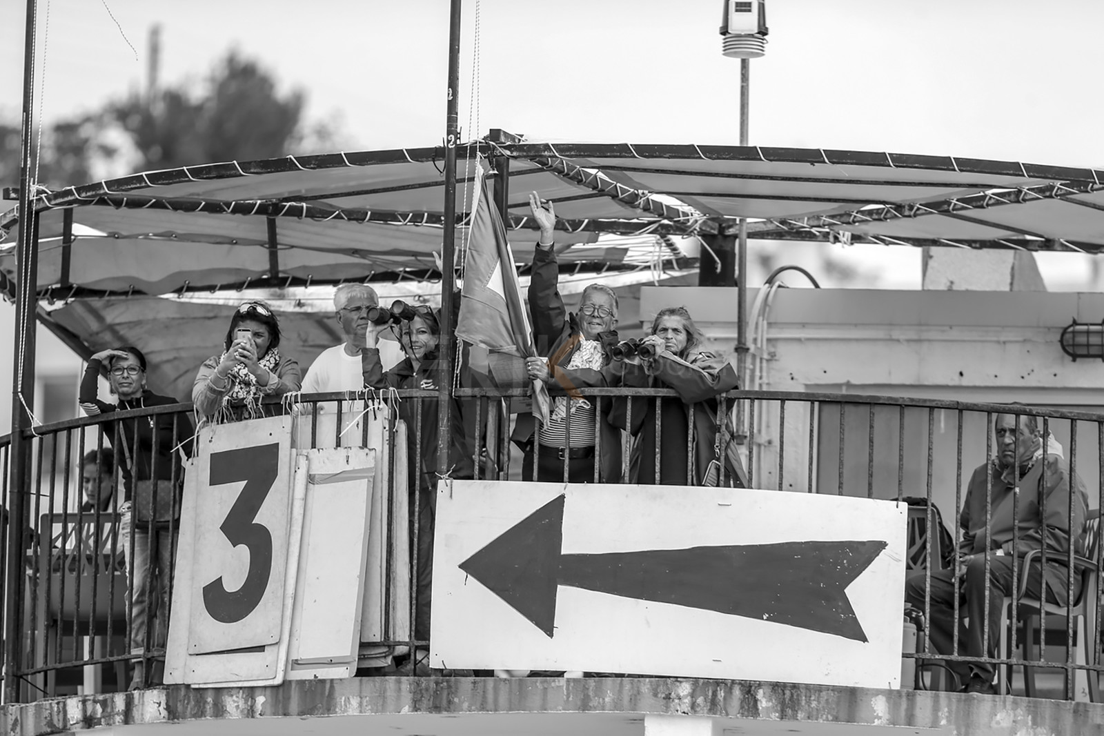 VireVire2014-3.jpg