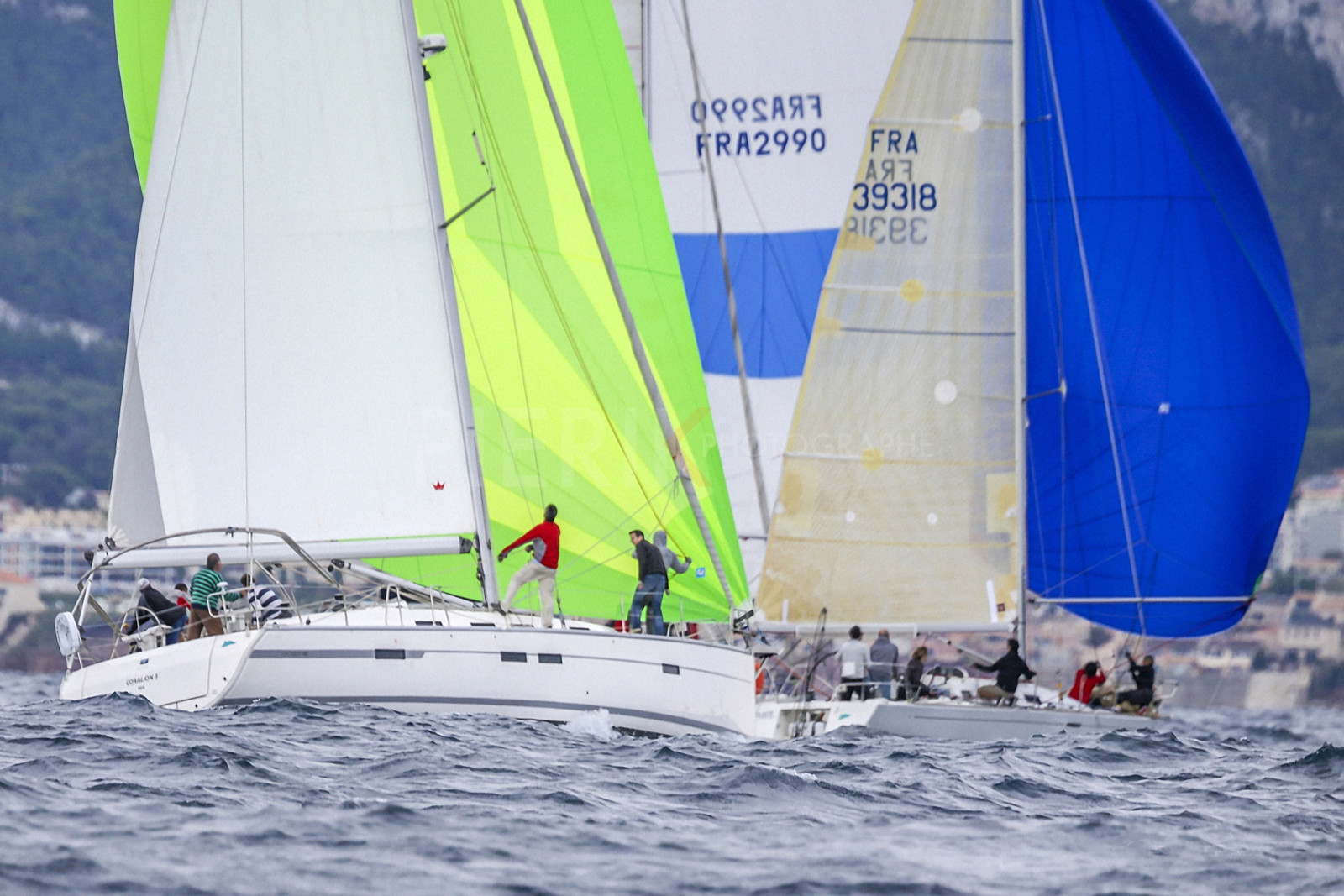 VireVire2014-254.jpg