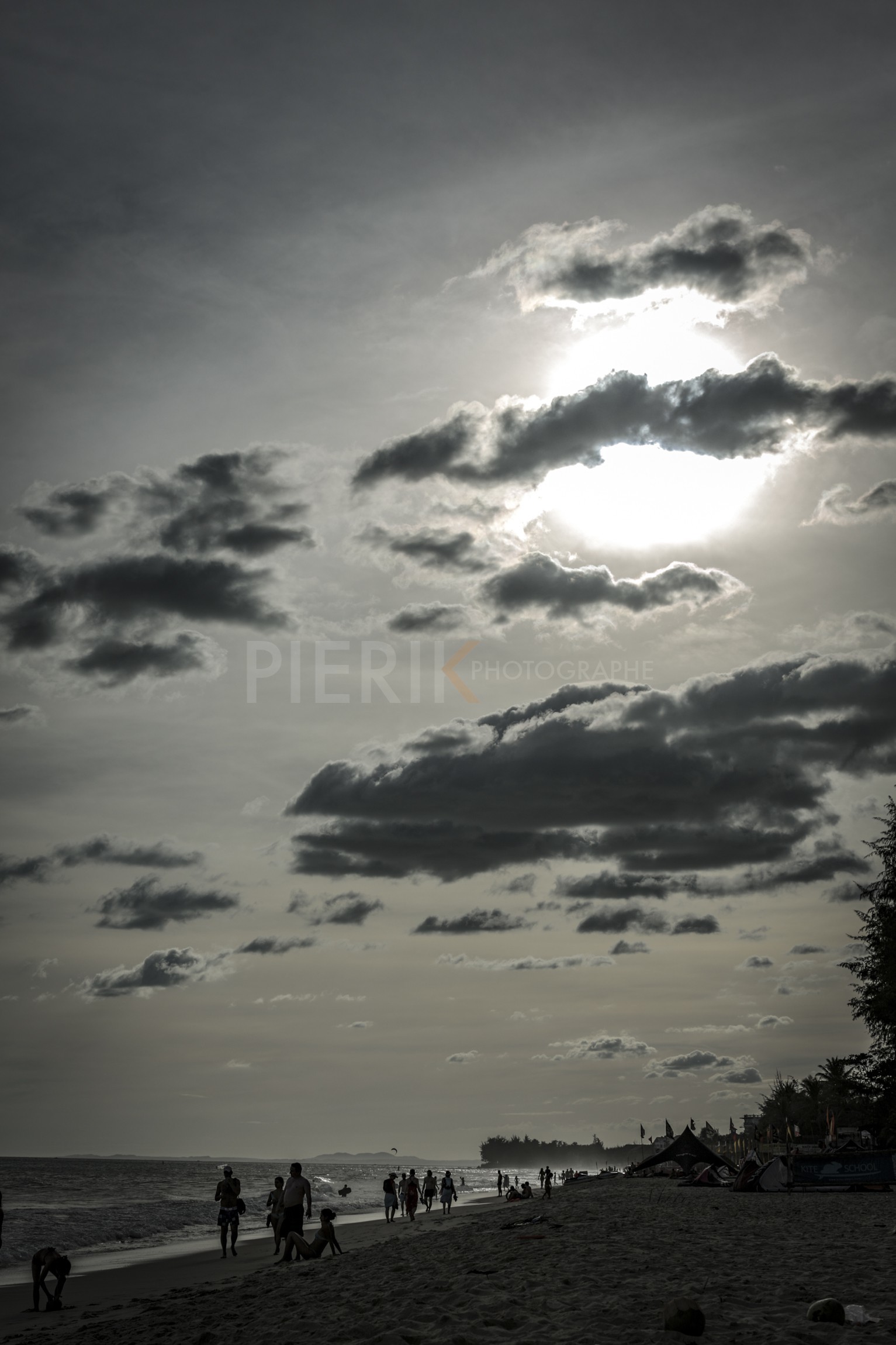 MuiNe12-5.jpg