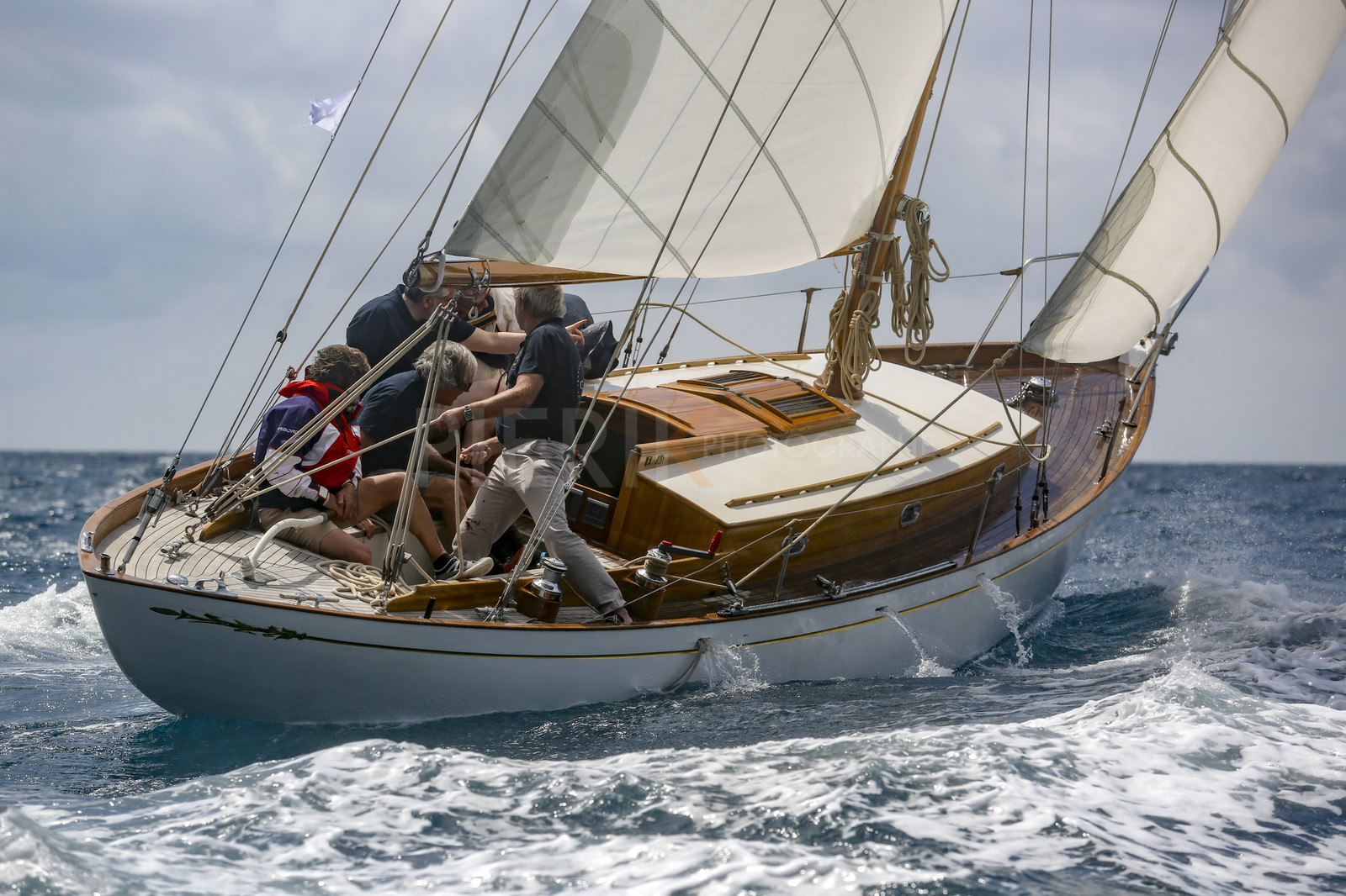 O60A5819.jpg