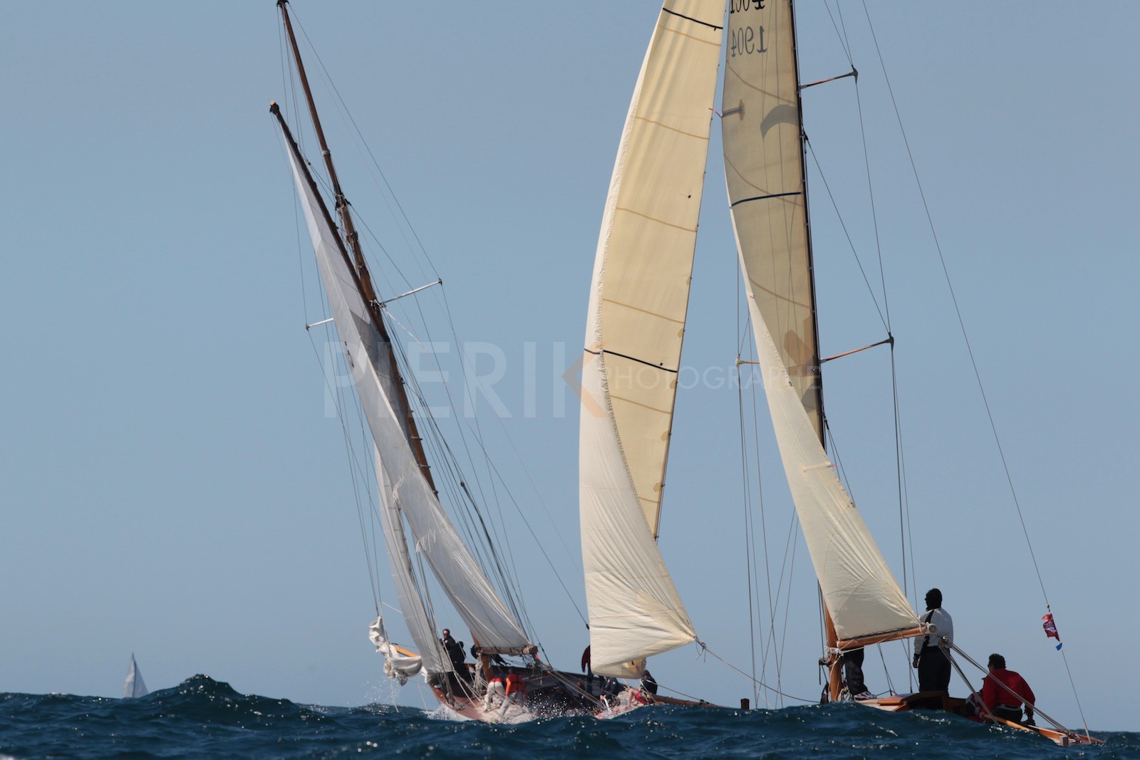Windhover