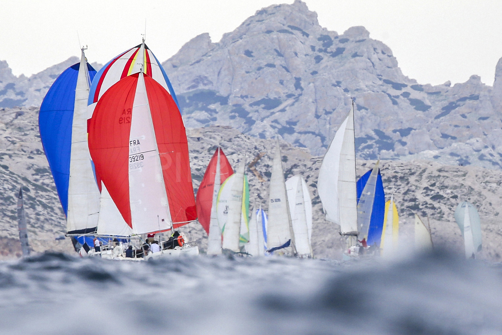 VireVire2014-273.jpg