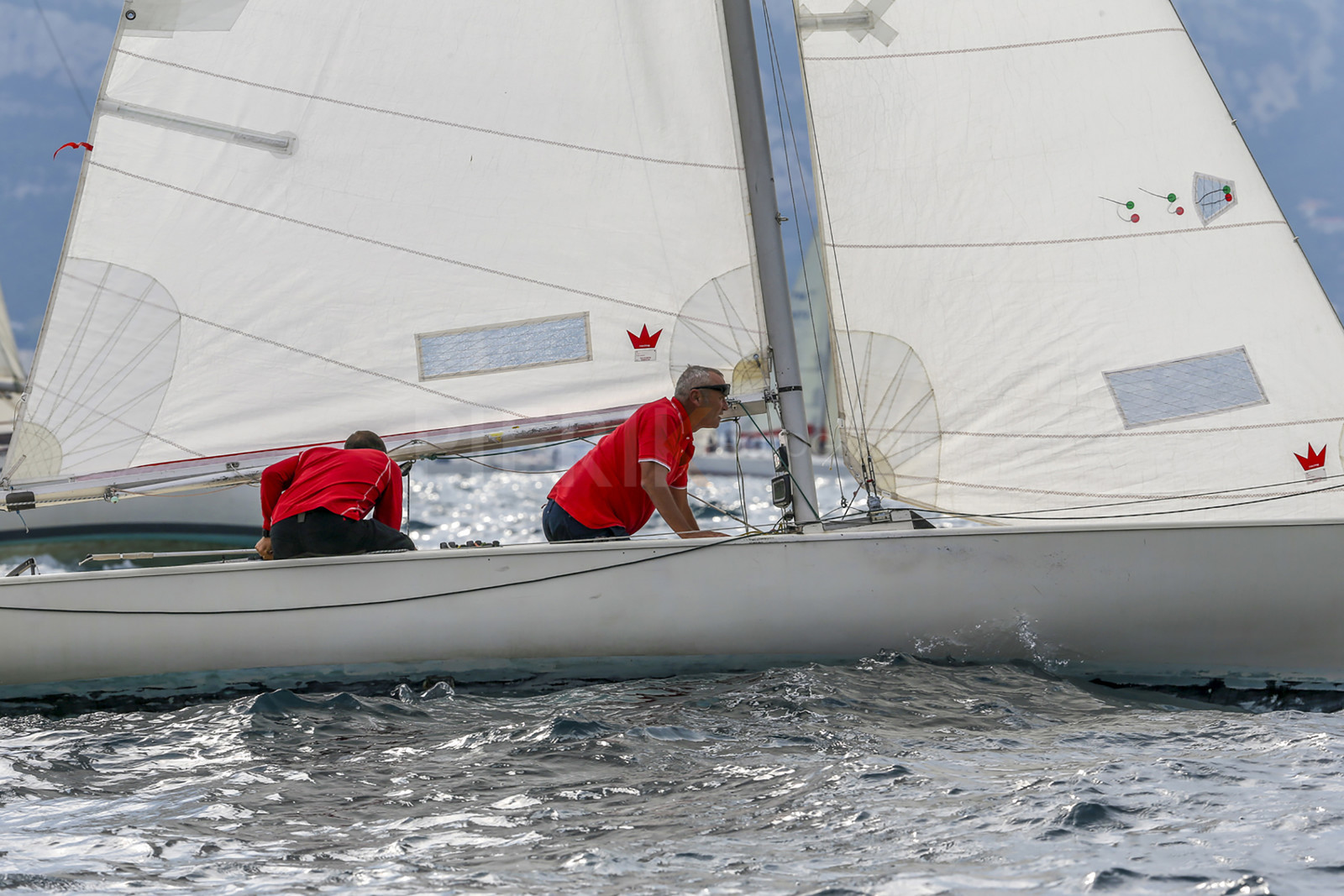 VireVire2014-24.jpg