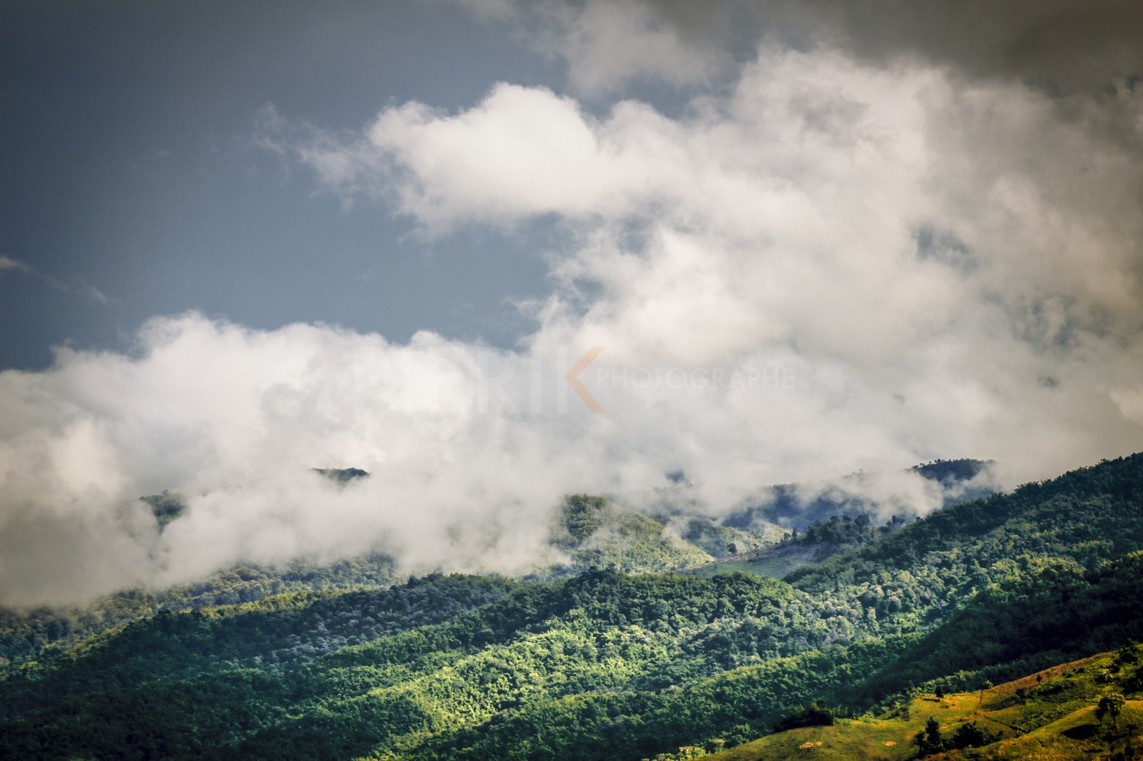 15122013-BL6A1766-Modifier.jpg