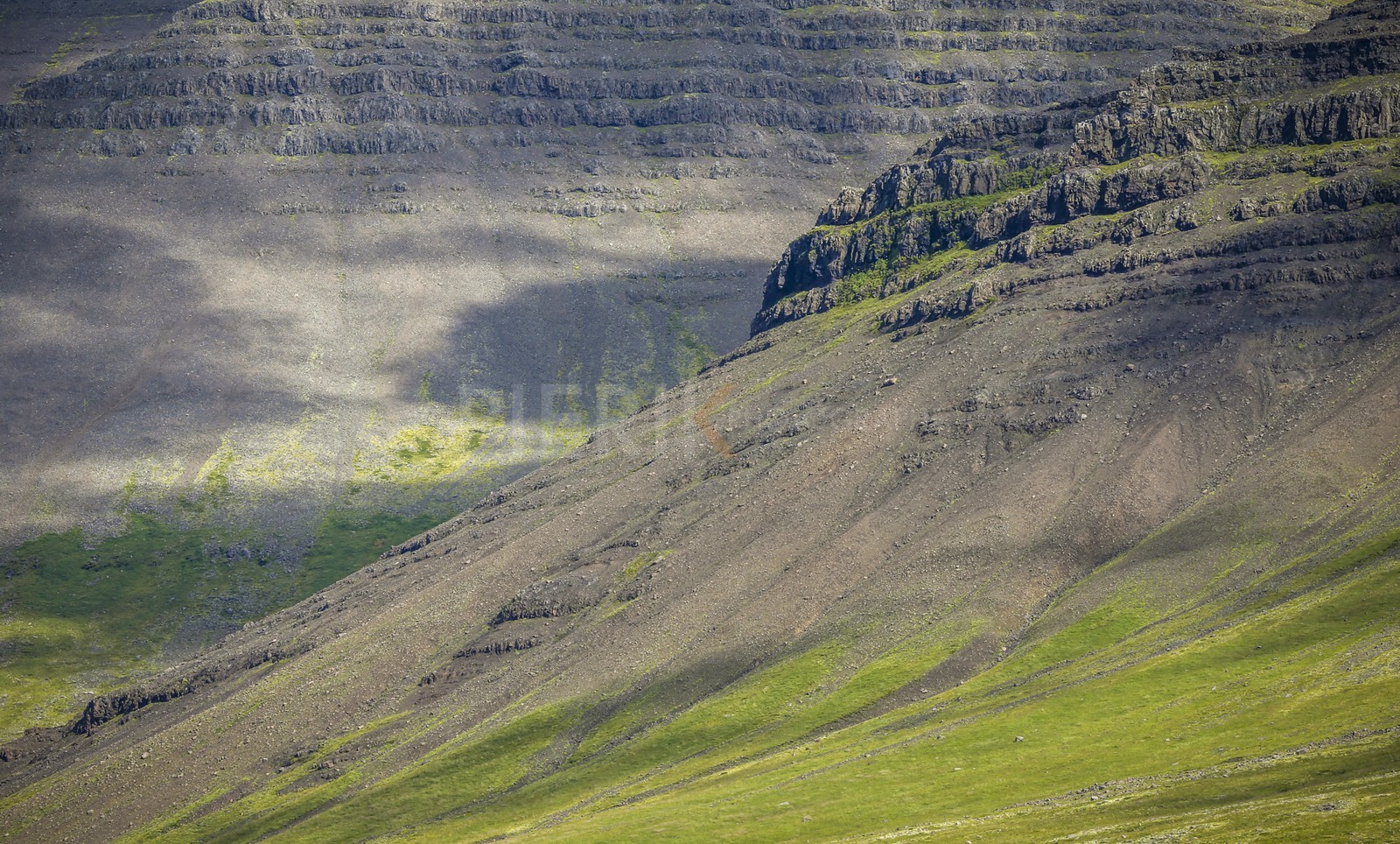 A29X3384.jpg