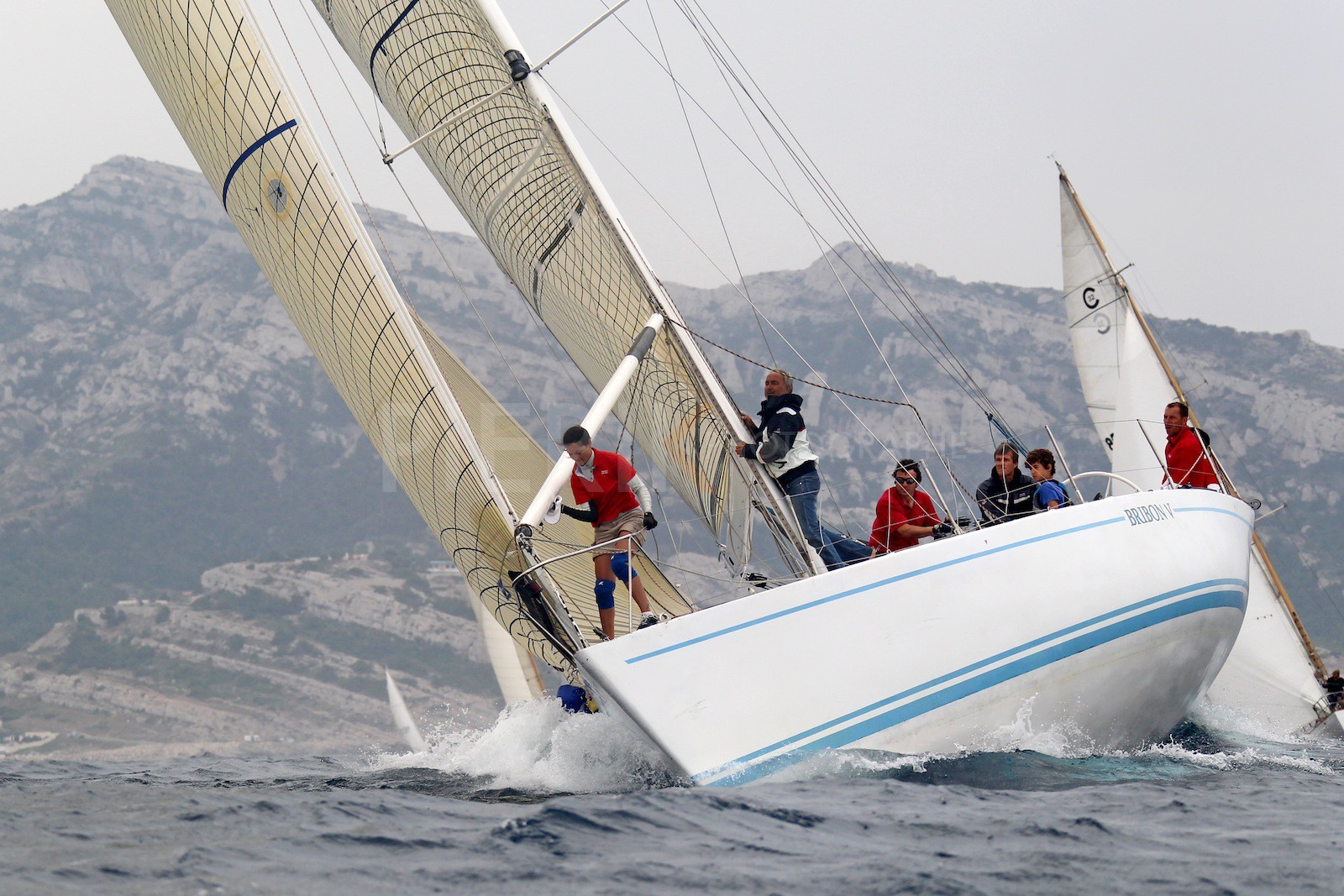 Bribon V