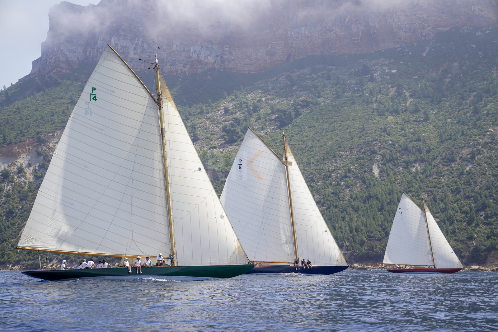 _DSC5080.jpg