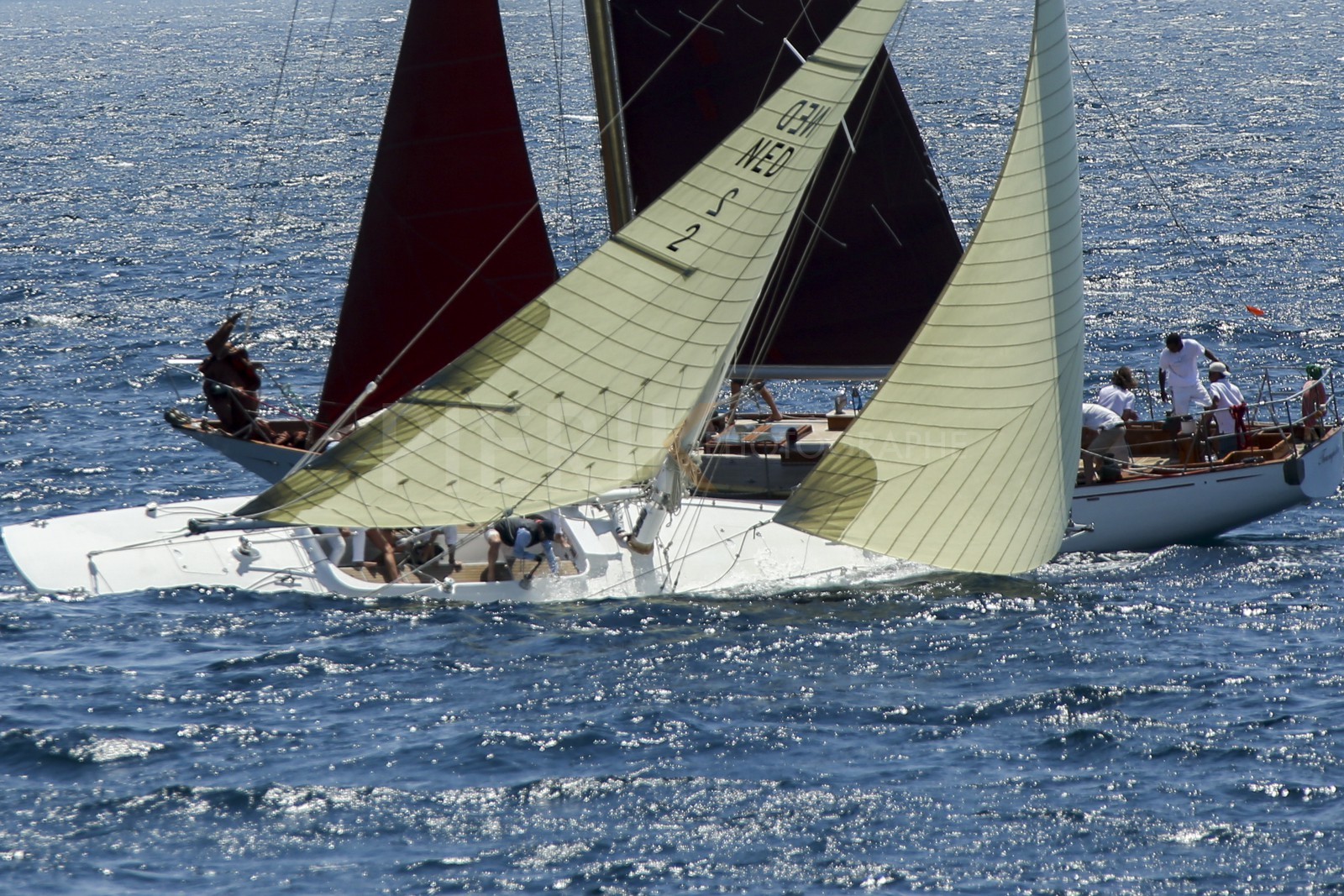 A29X1441.jpg