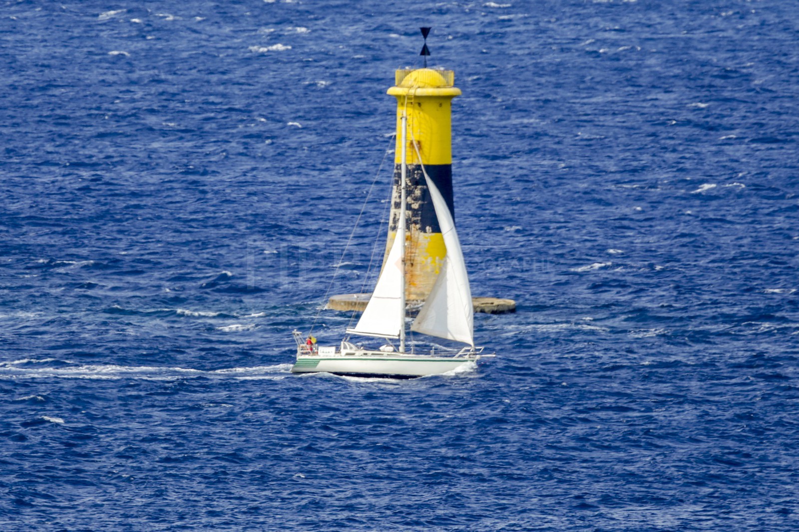 A29X0481.jpg