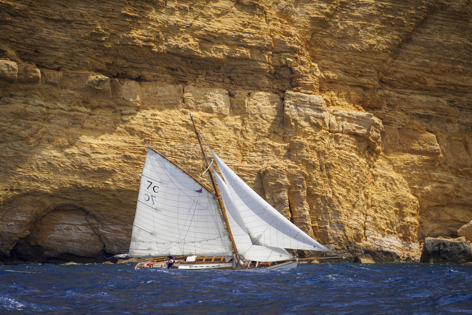 _DSC7385.jpg