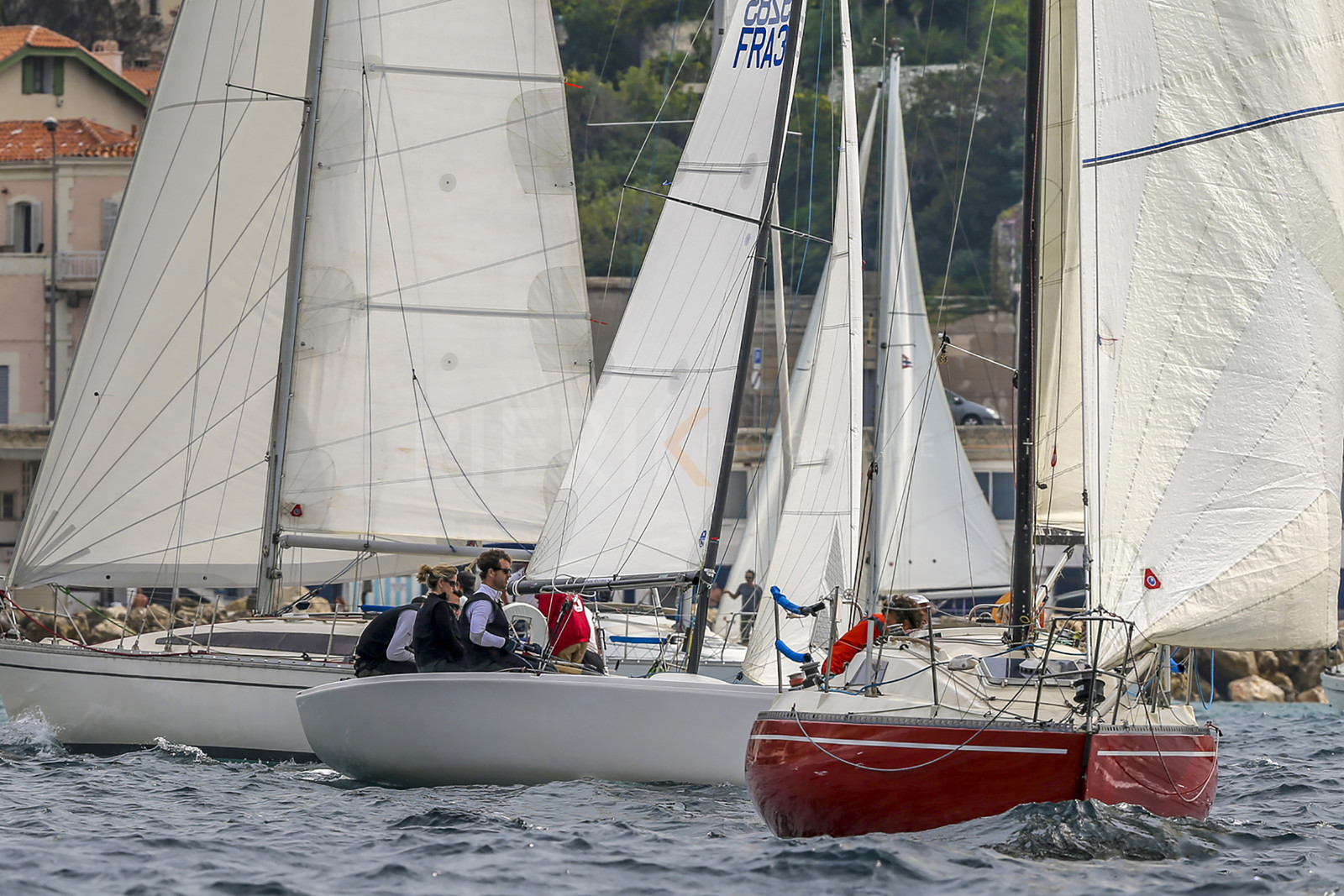 VireVire2014-25.jpg