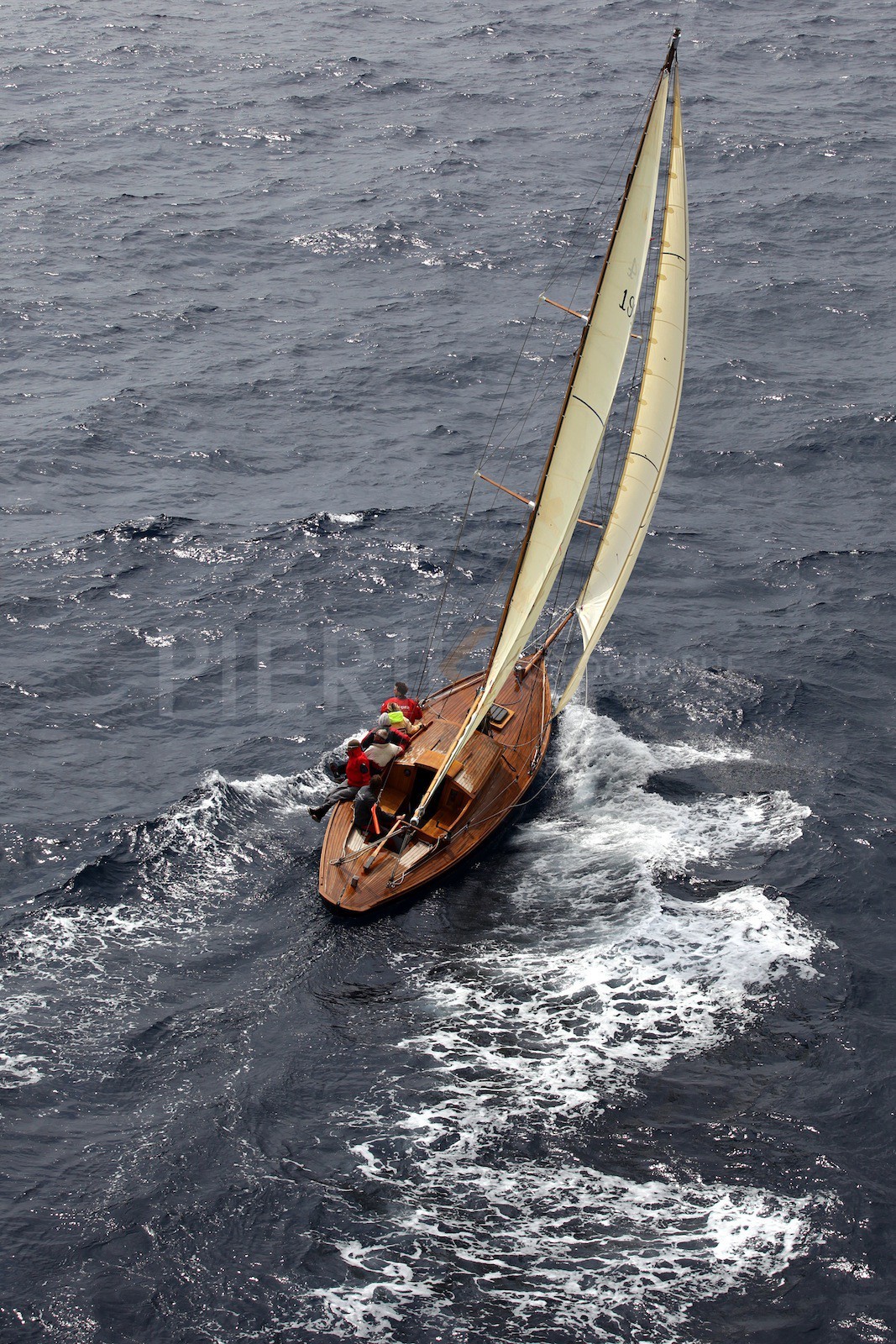 Windhover