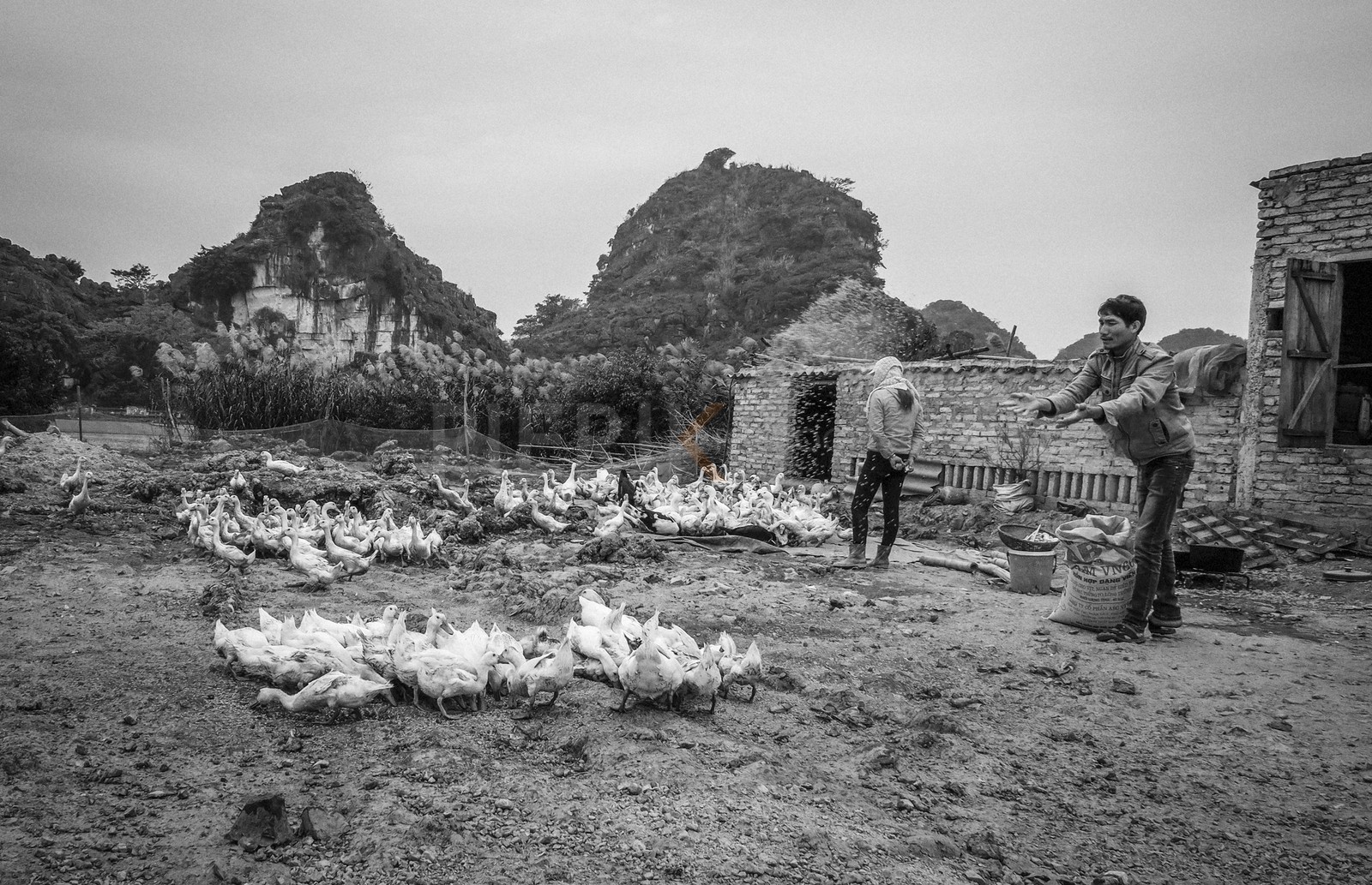Tam Coc-7.jpg