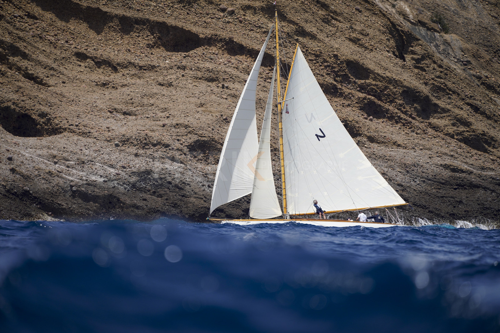 _DSC7780.jpg