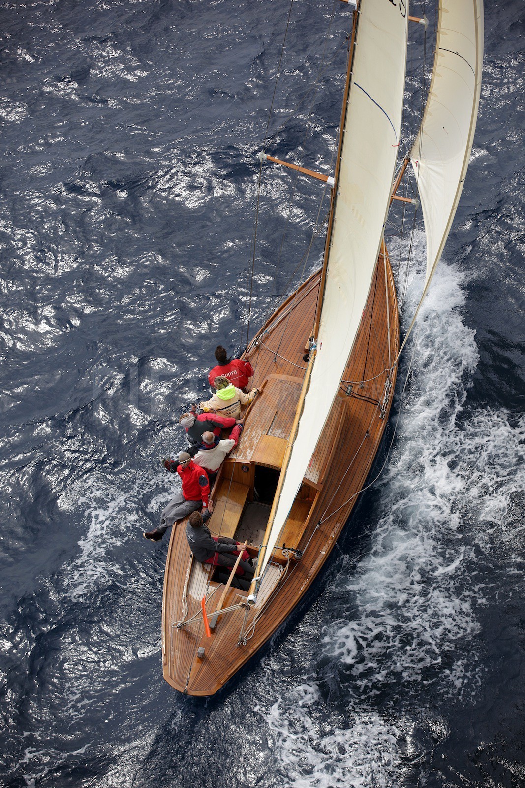 Windhover