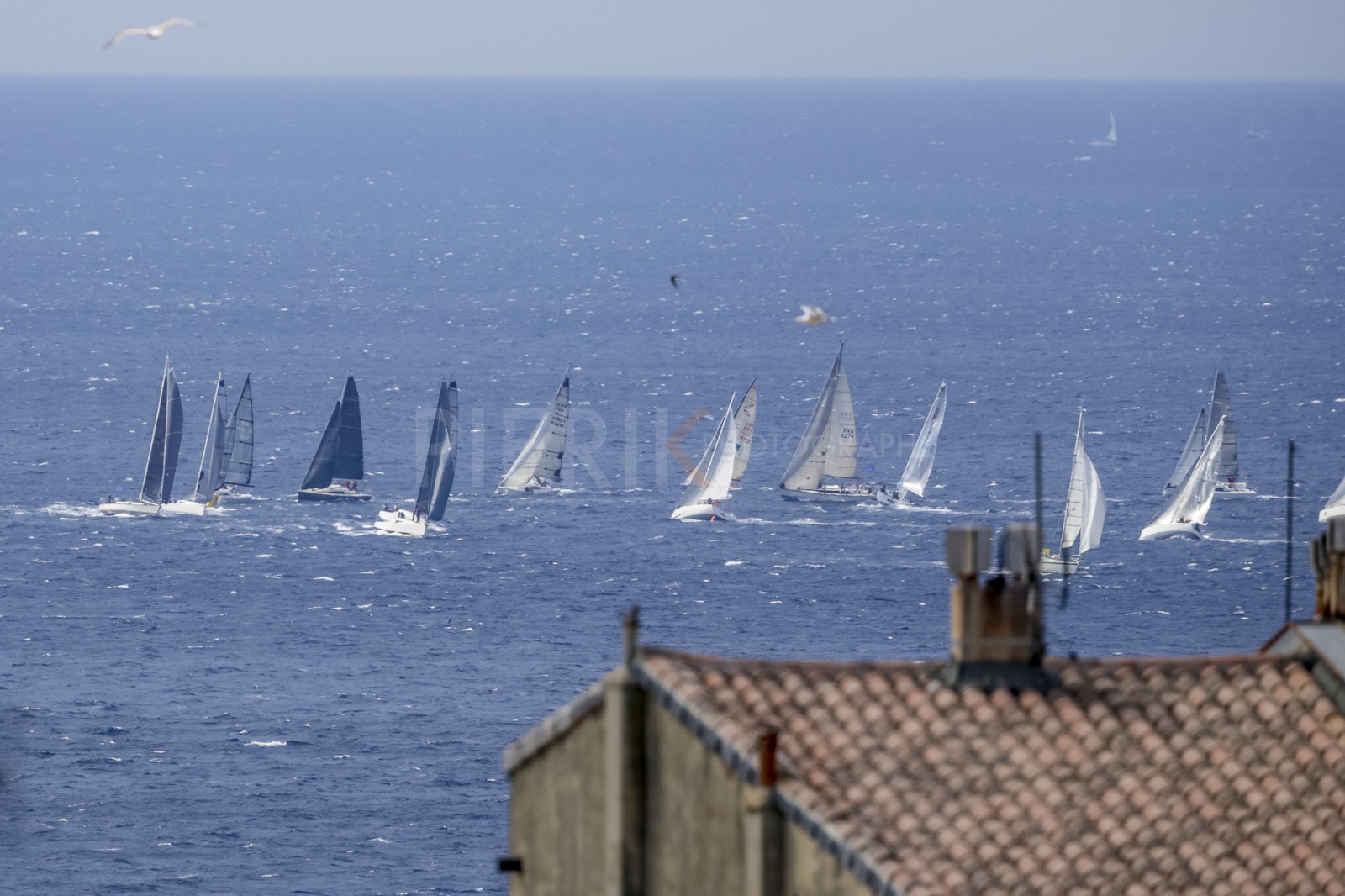 A29X0447.jpg