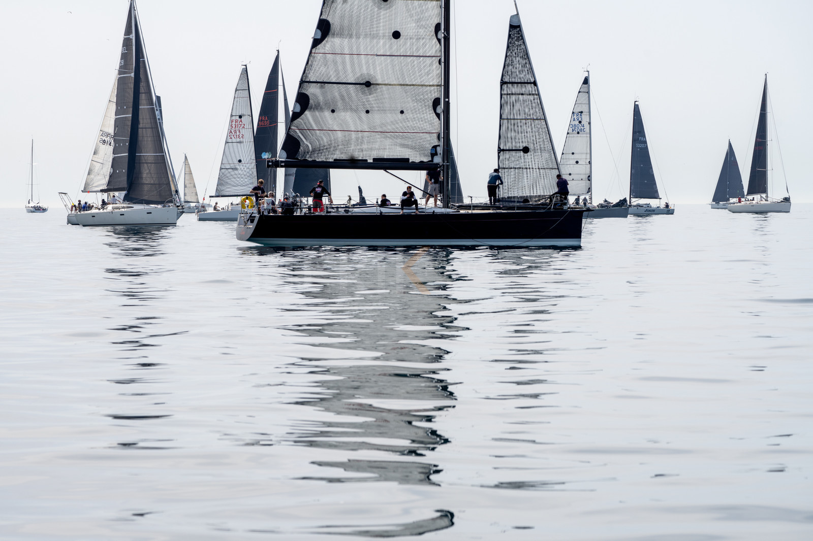 DSC01481.jpg