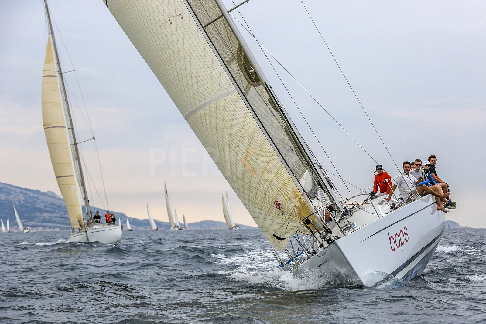 VireVire2014-156.jpg