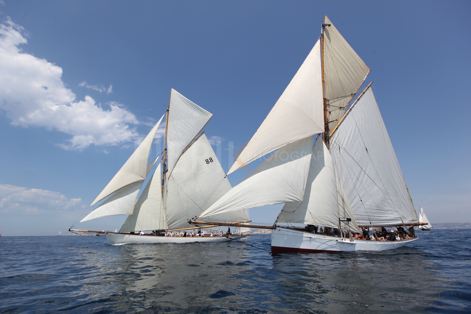 Partridge et Moonbeam of Fife