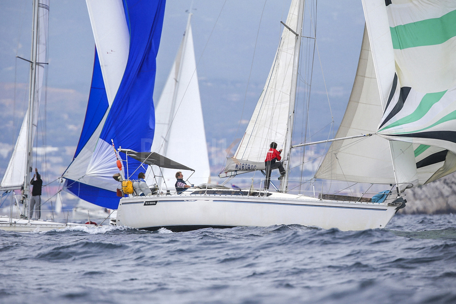 VireVire2014-261.jpg