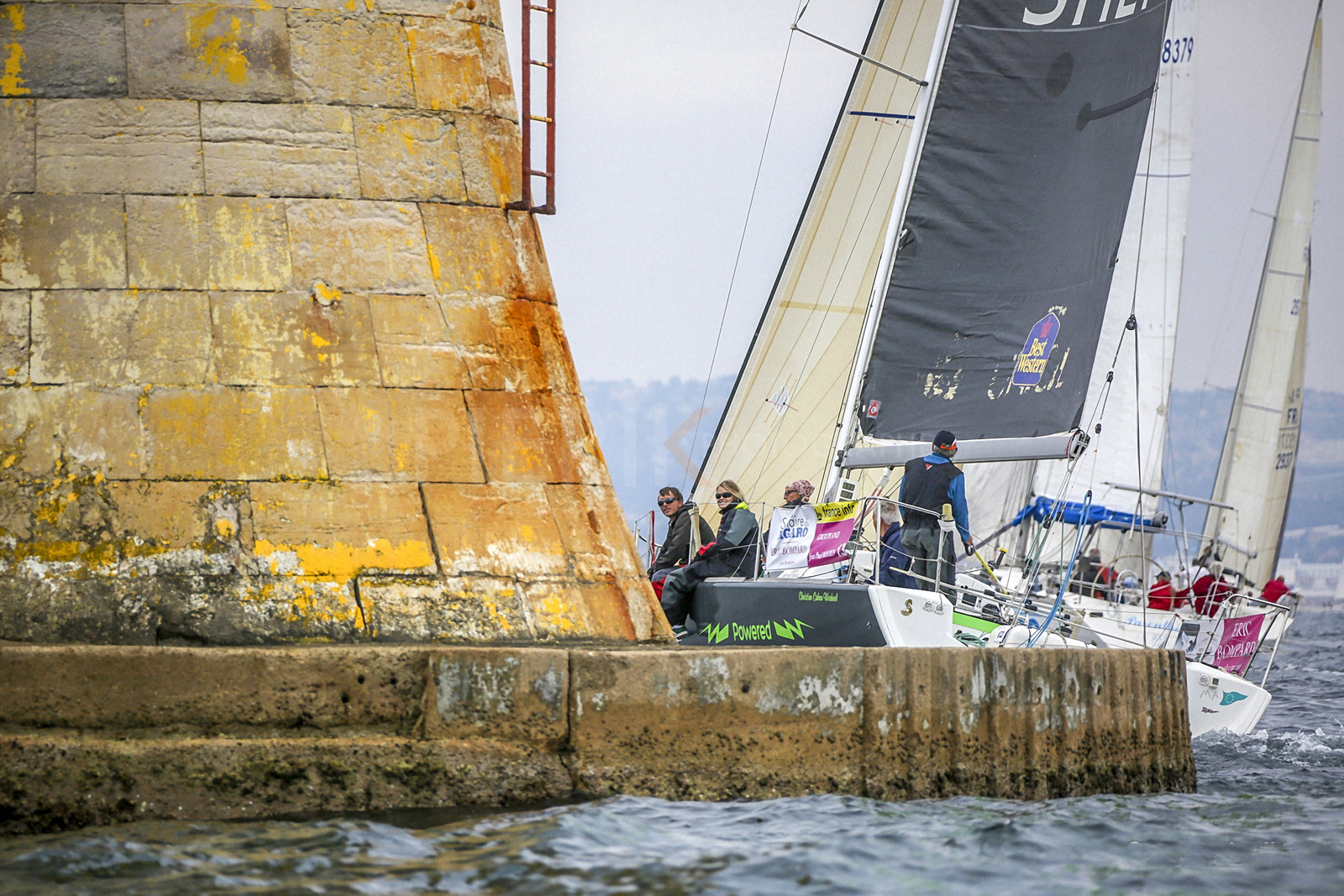 VireVire2014-116.jpg