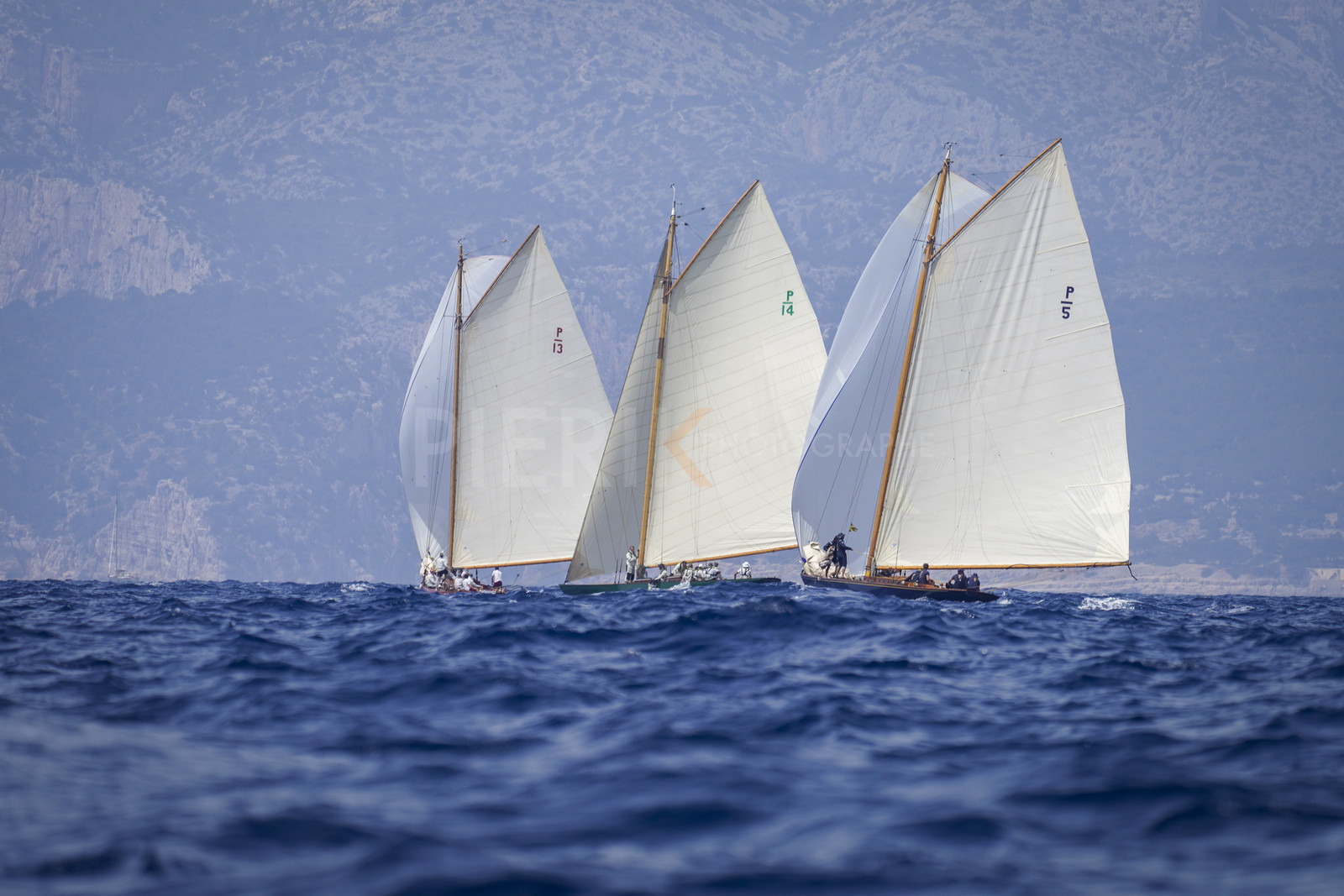 _DSC7500.jpg