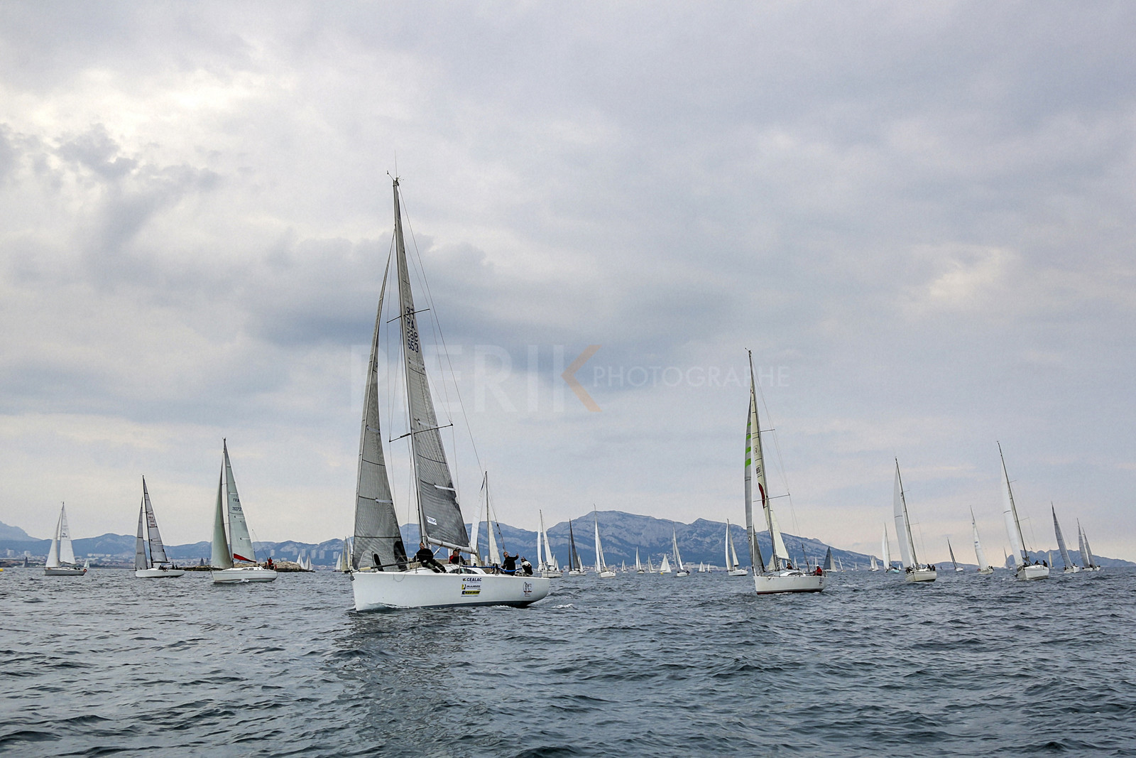 VireVire2014-120.jpg