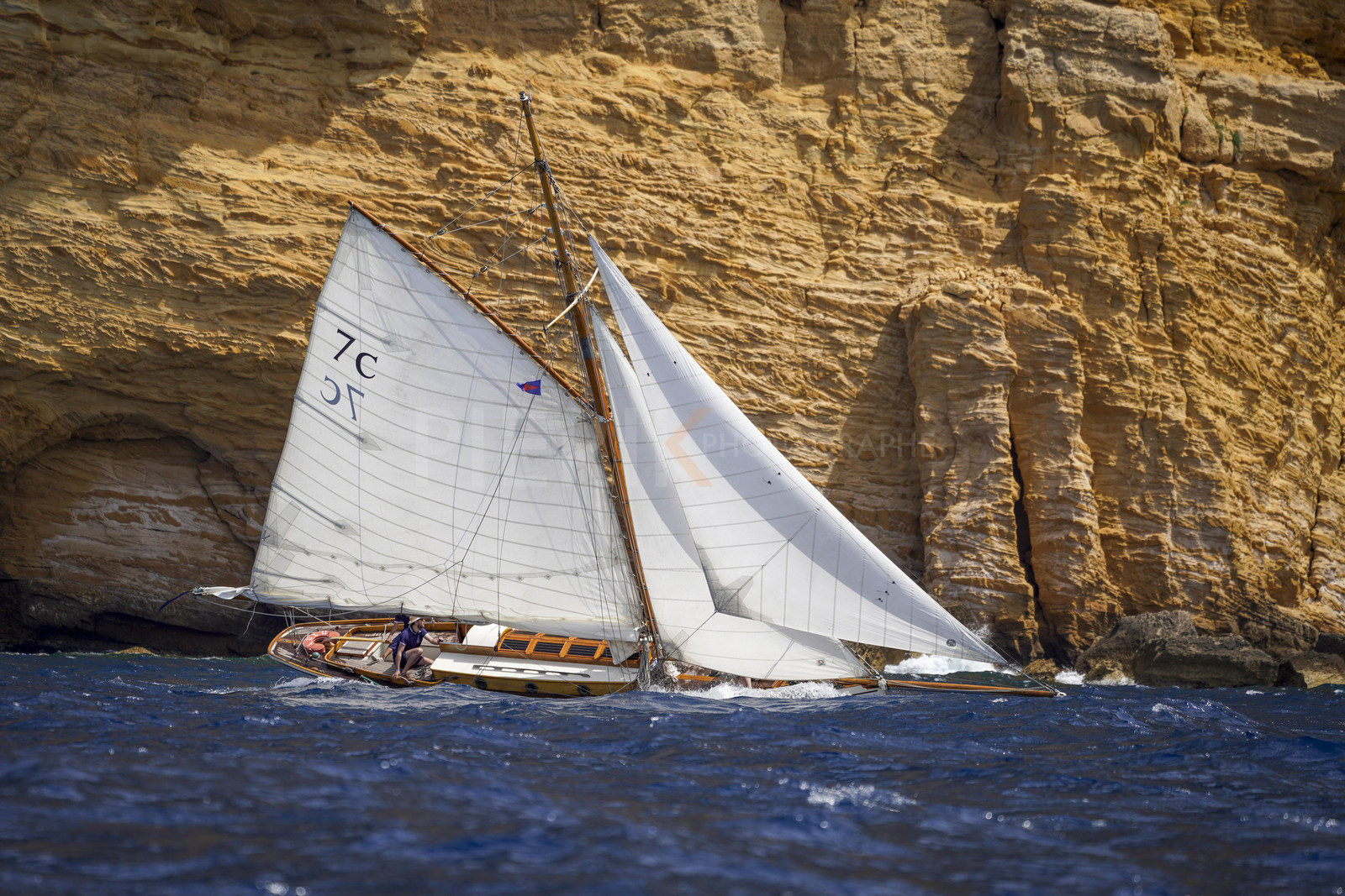 _DSC7384.jpg
