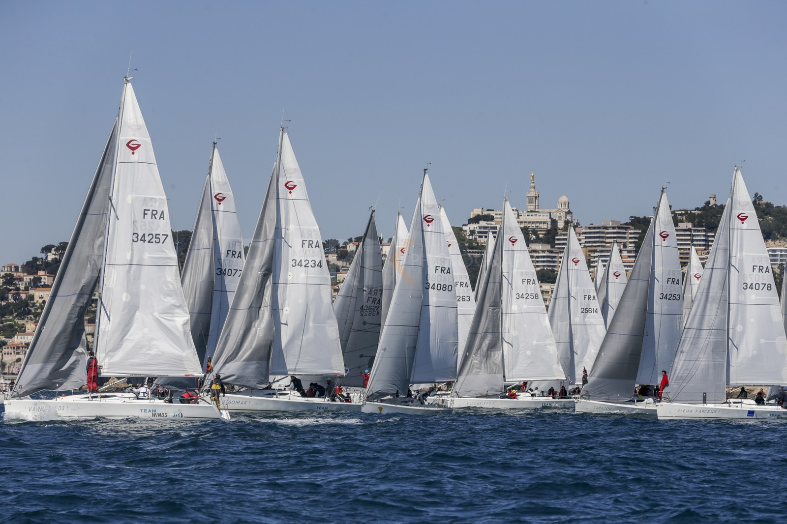 A29X1486.jpg