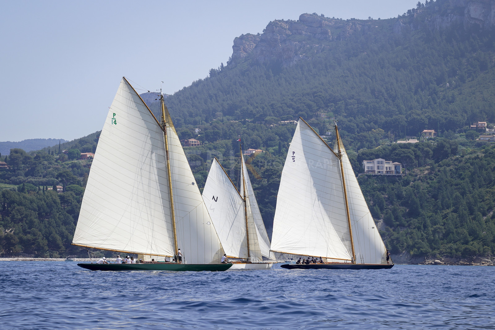 _DSC5064.jpg