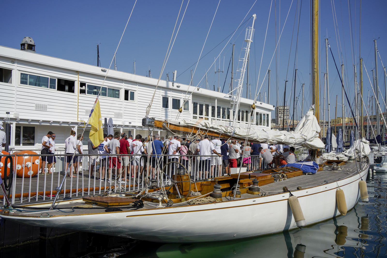 VVP_2023-6849.jpg