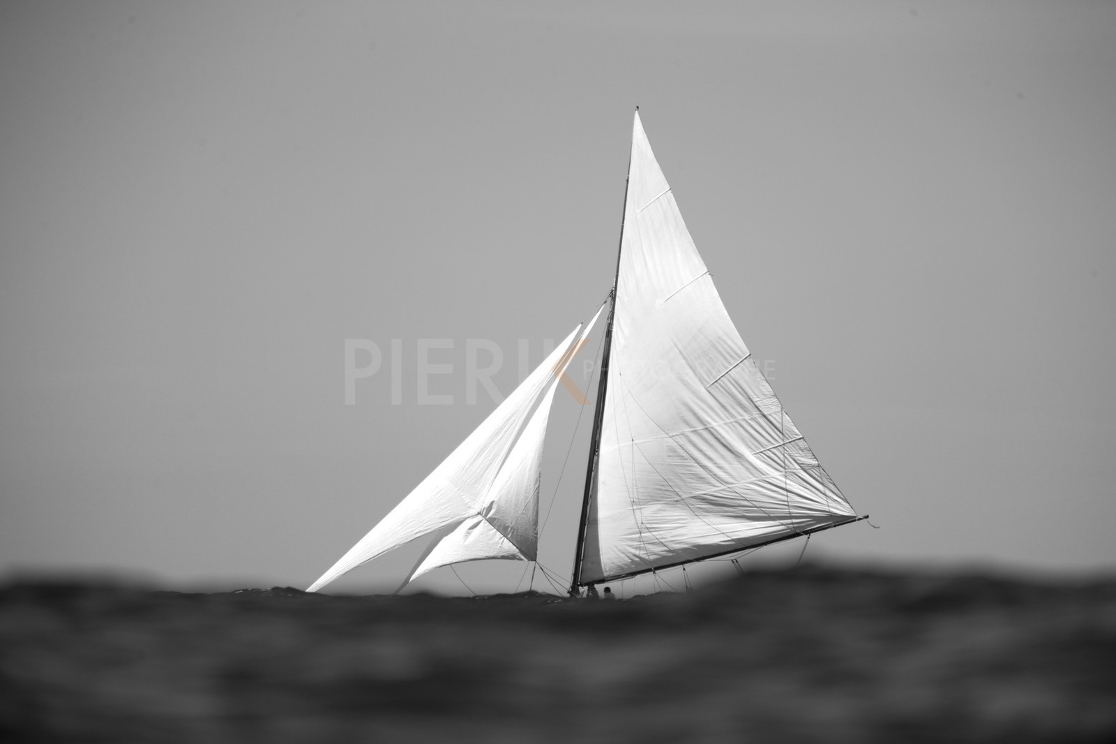 A29X8681.jpg