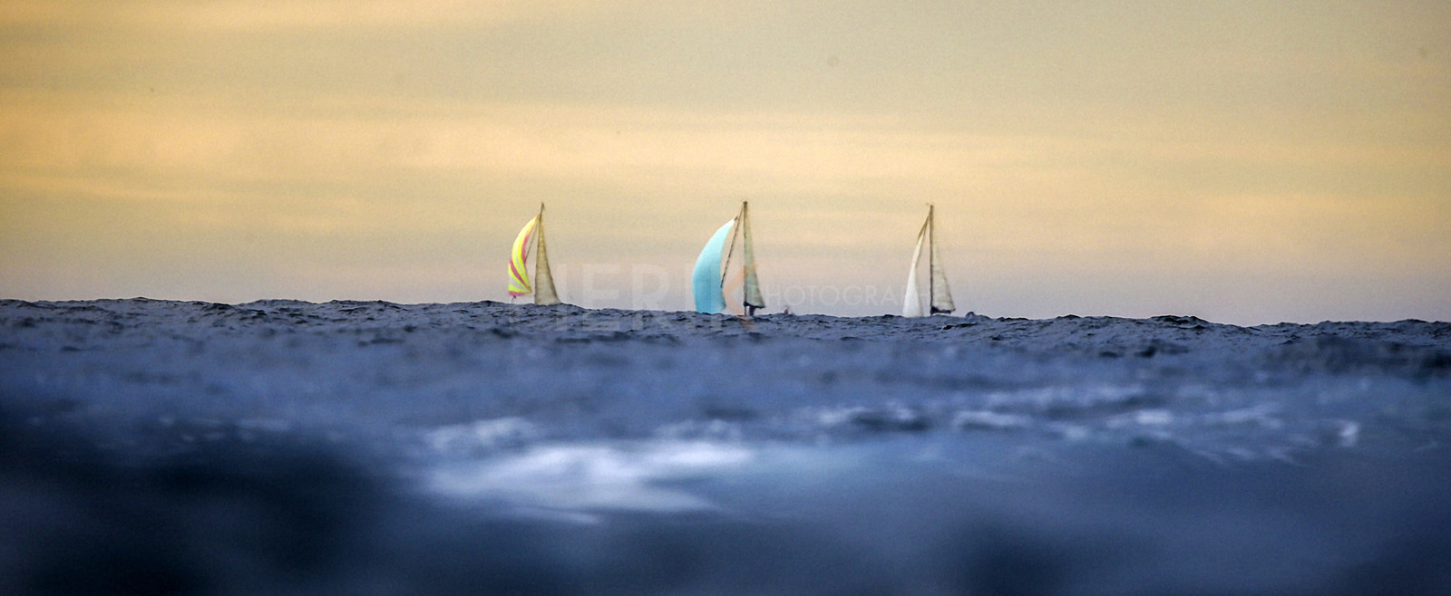VireVire2014-290.jpg