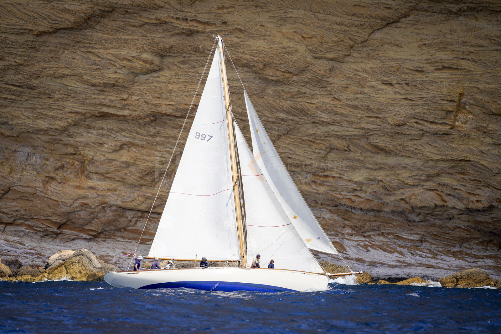 _DSC7386.jpg