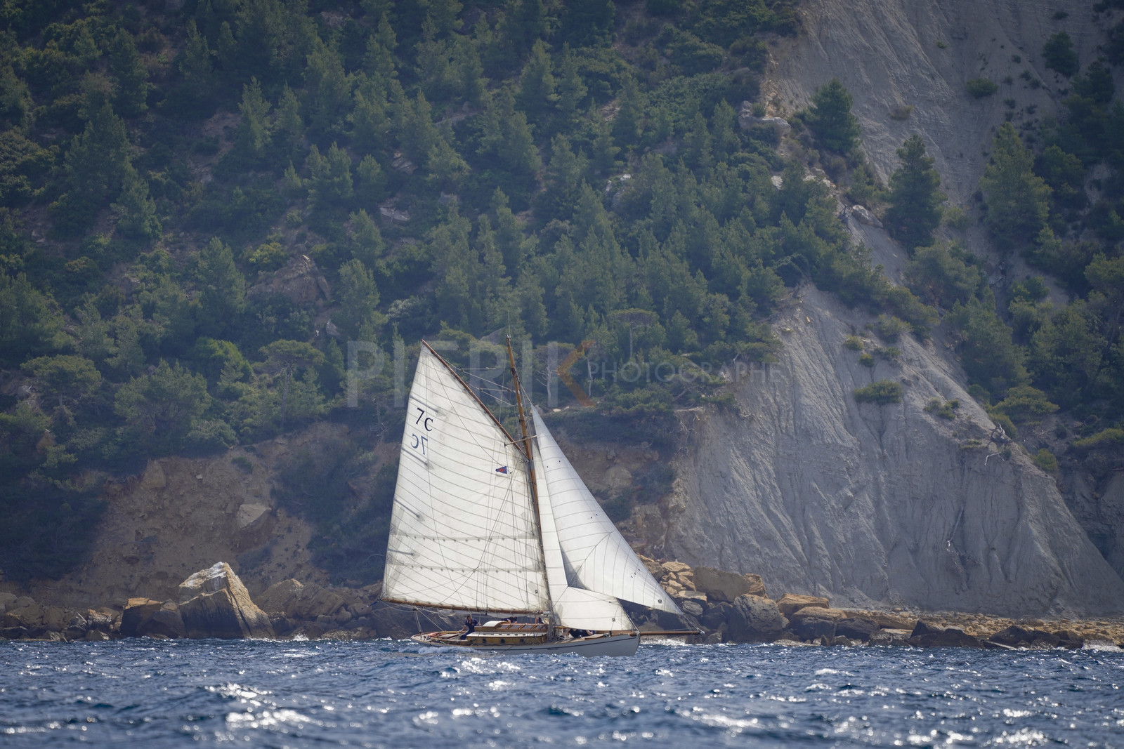 _DSC6908.jpg