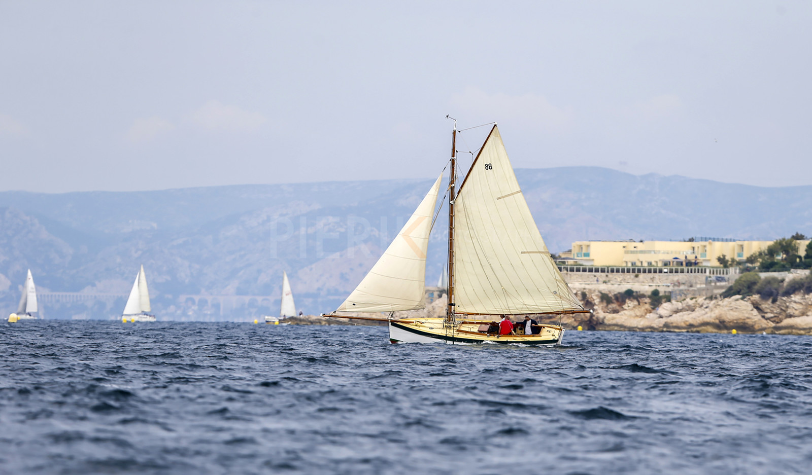 VireVire2014-1.jpg