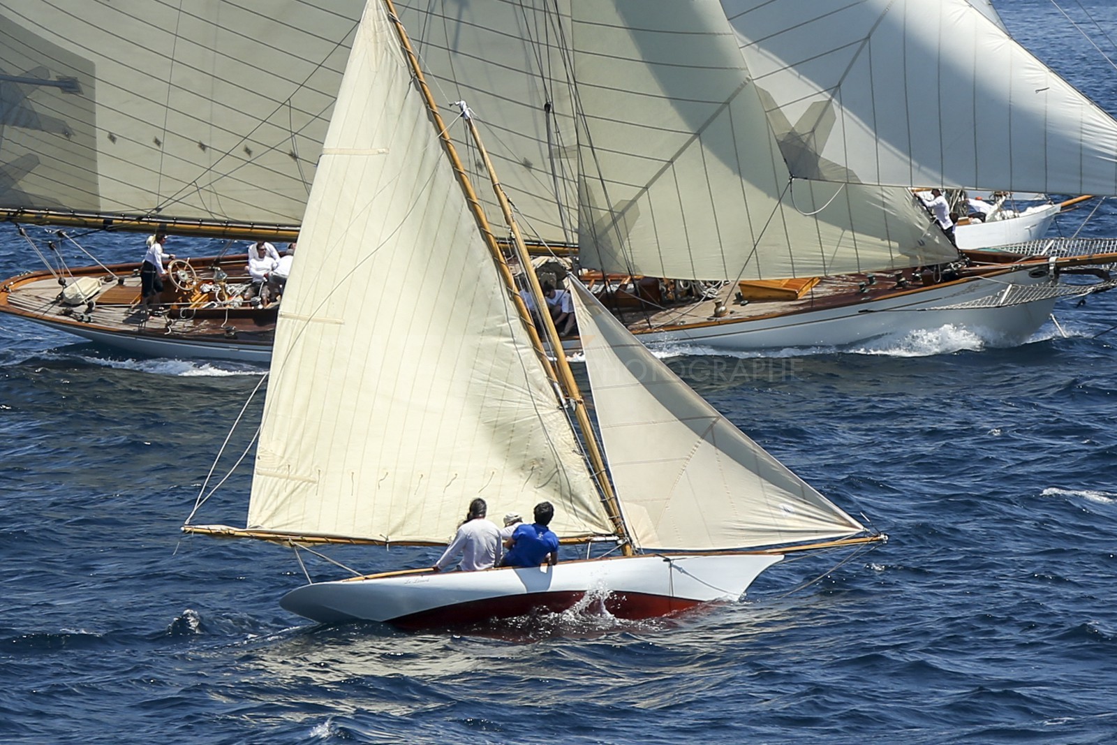 A29X1504.jpg
