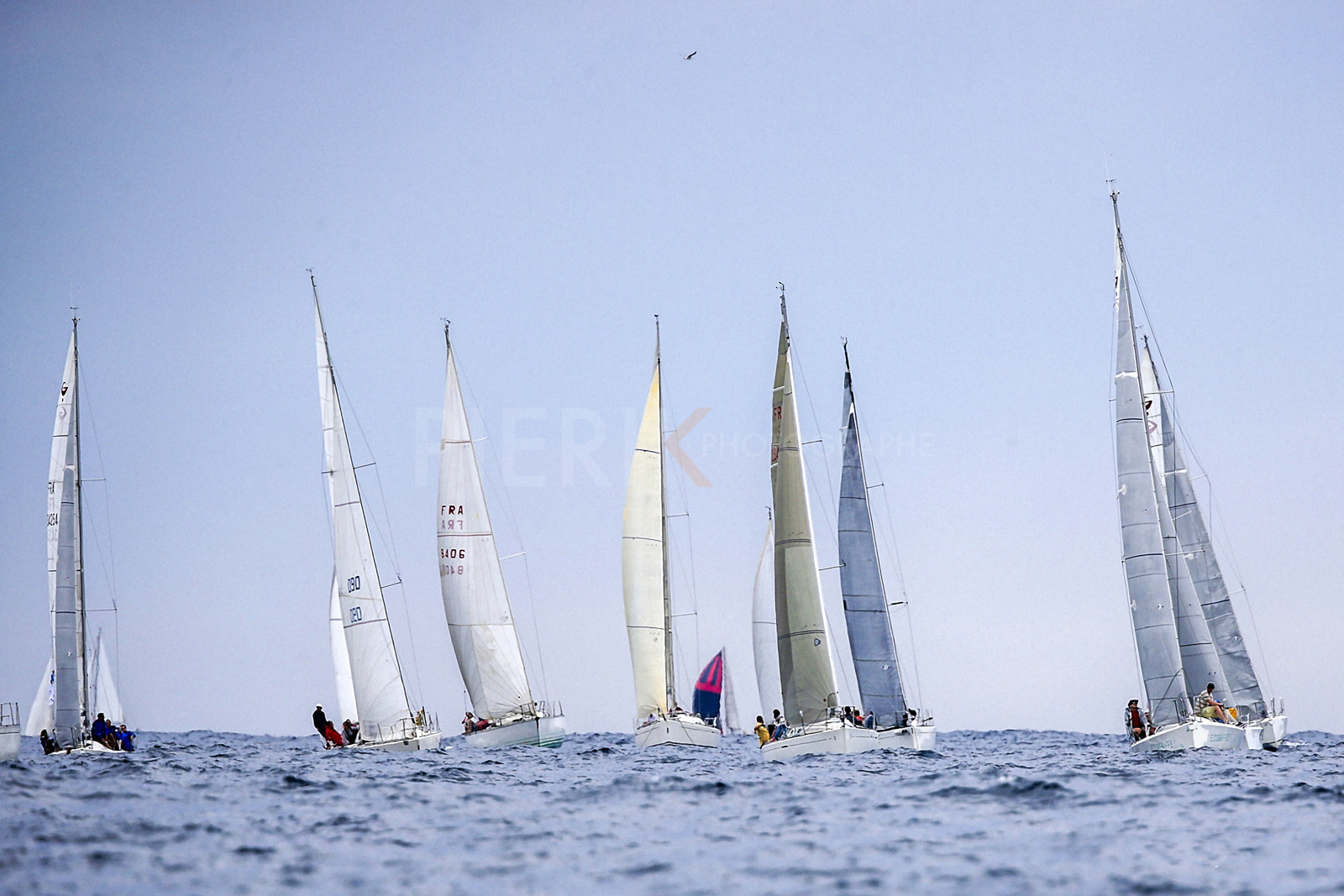 VireVire2014-295.jpg
