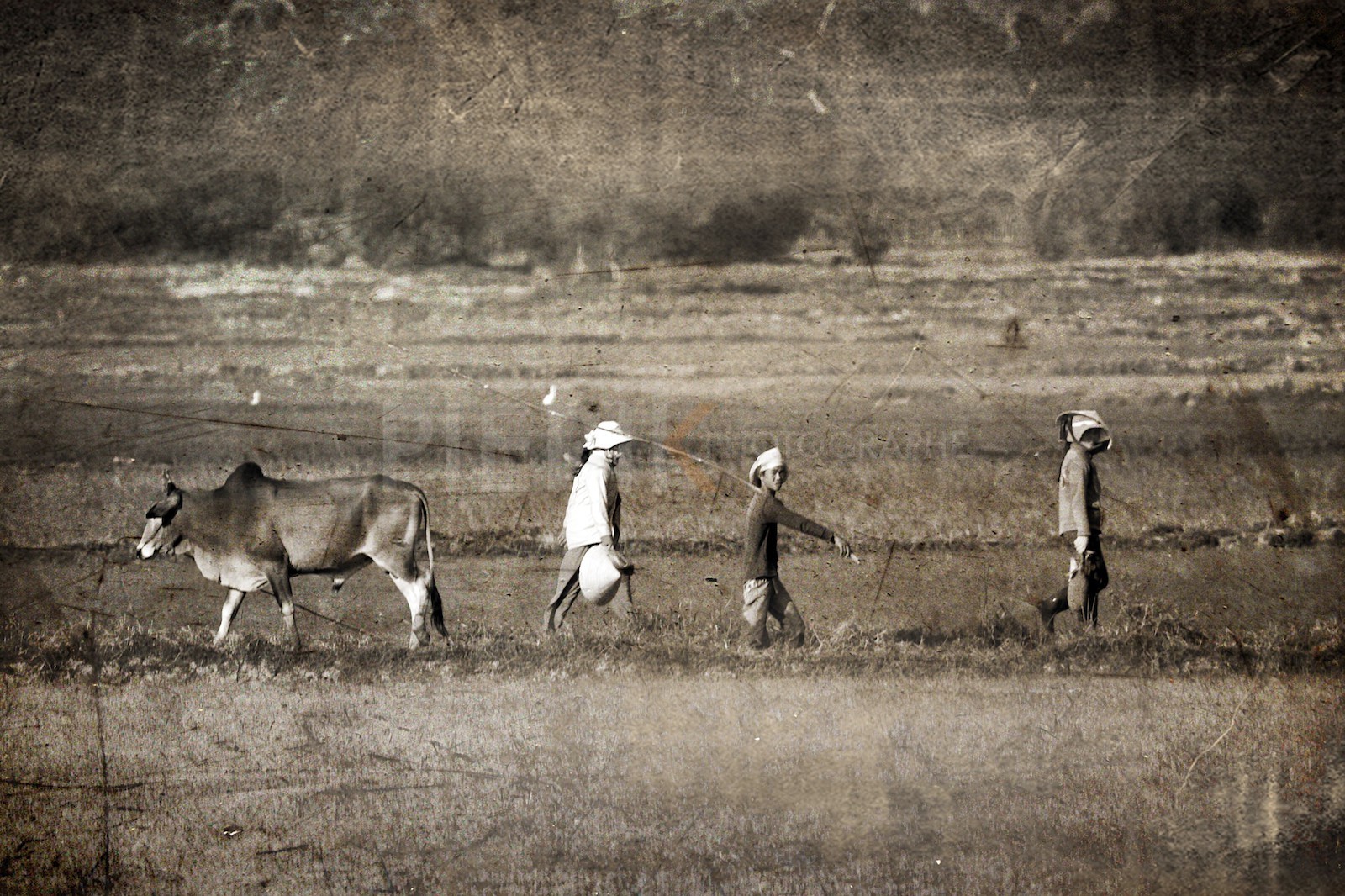 Fermiers dans les champs