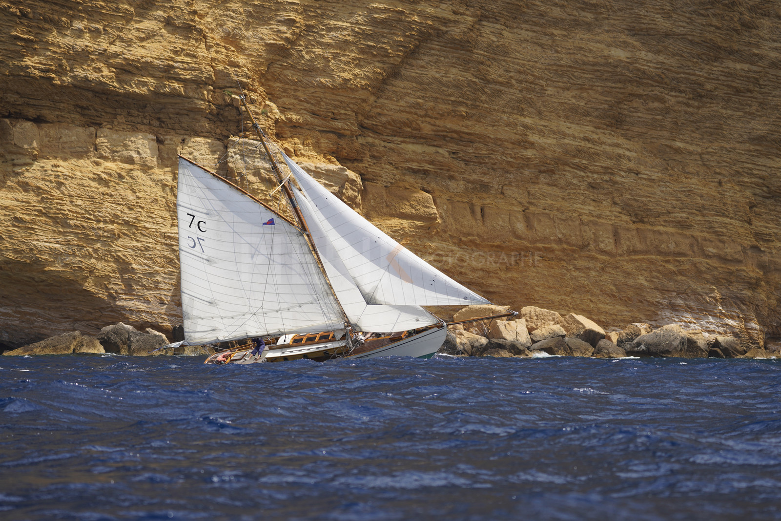 _DSC7389.jpg