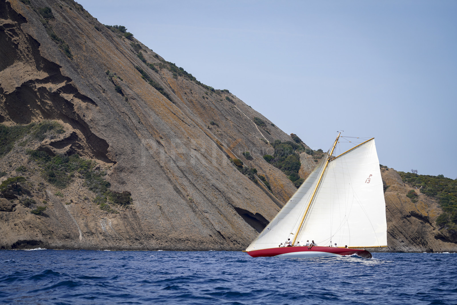 _DSC7453.jpg