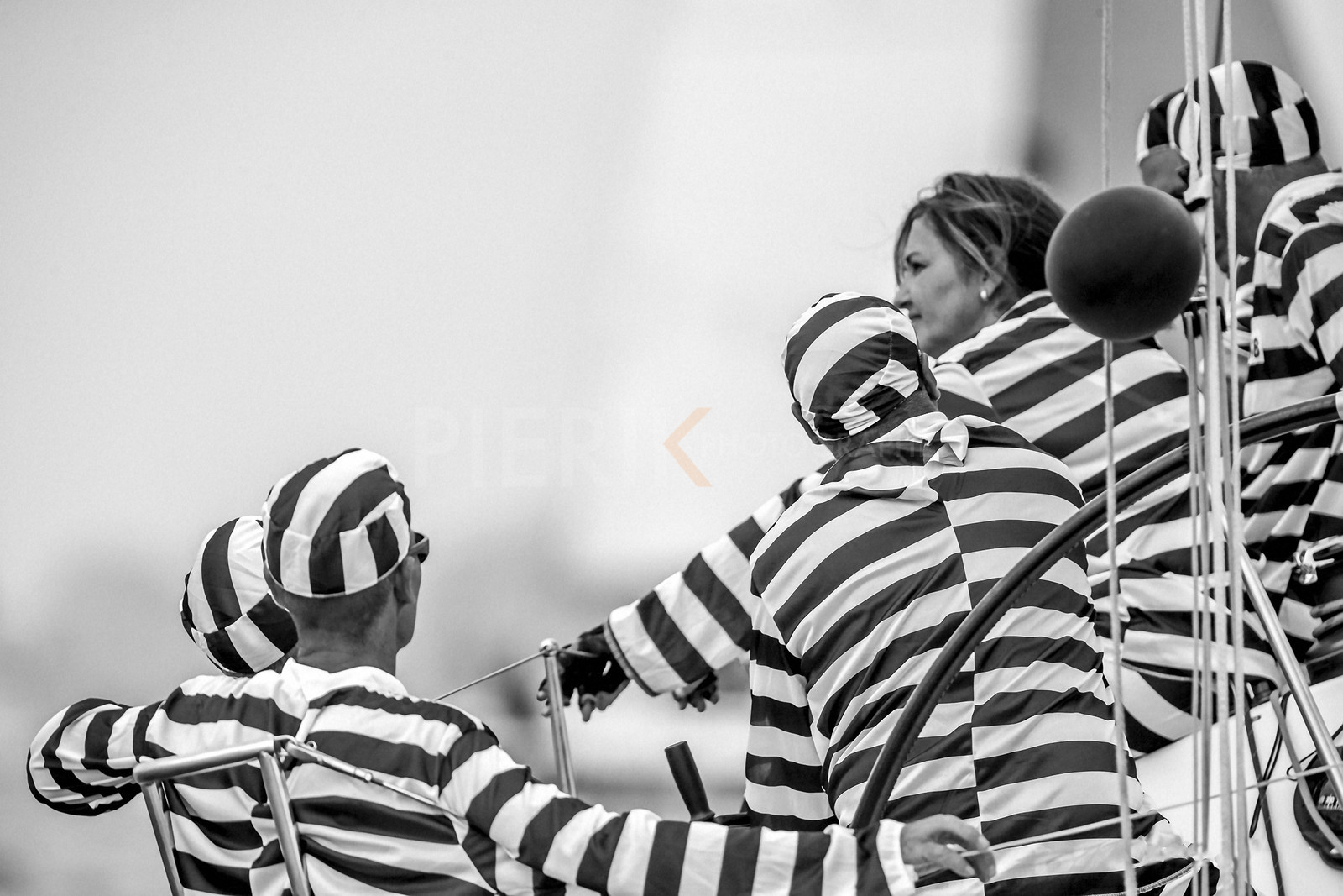 VireVire2014-65.jpg