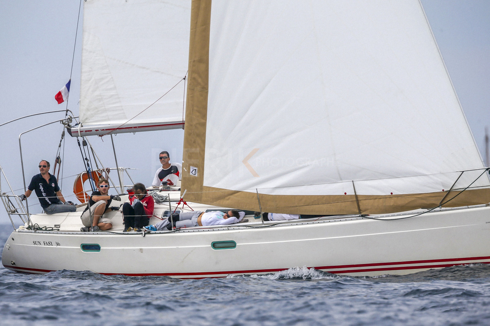 VireVire2014-57.jpg