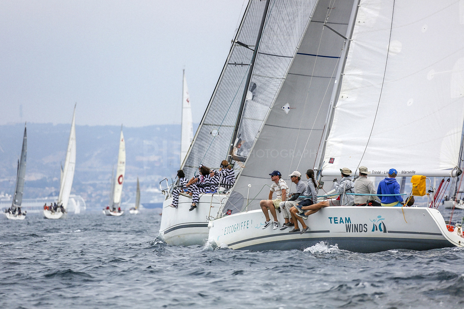 VireVire2014-149.jpg