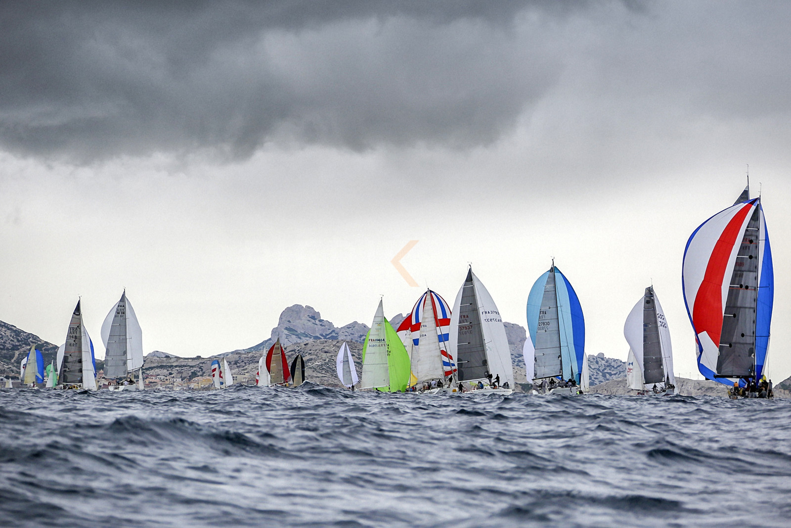 VireVire2014-283.jpg
