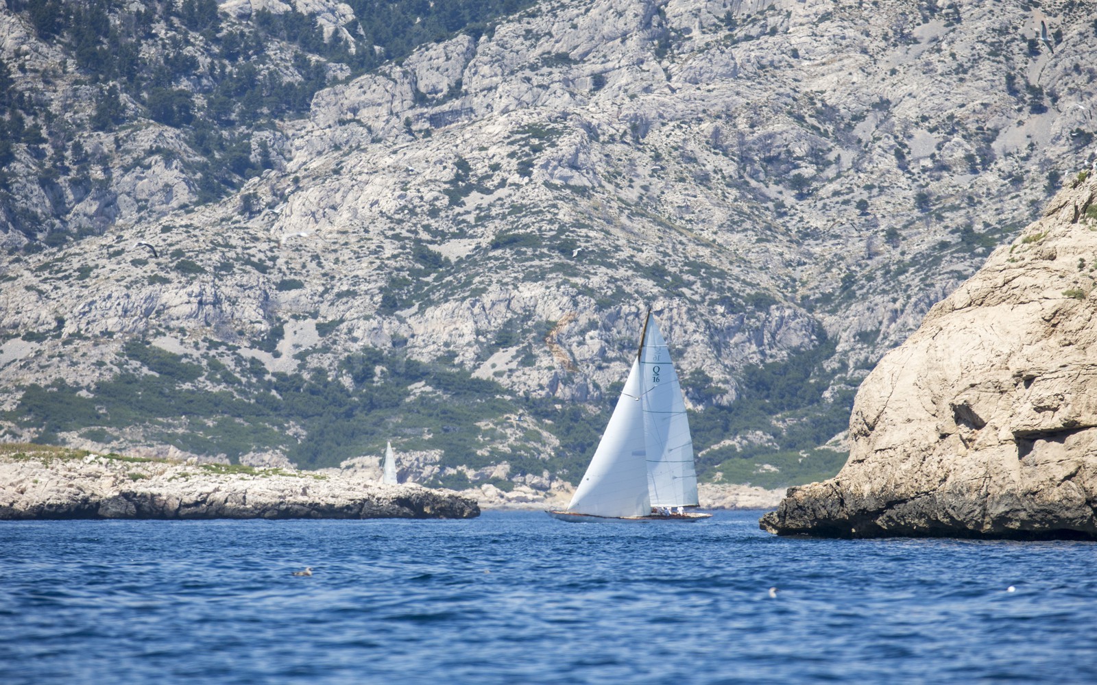 A29X9547.jpg